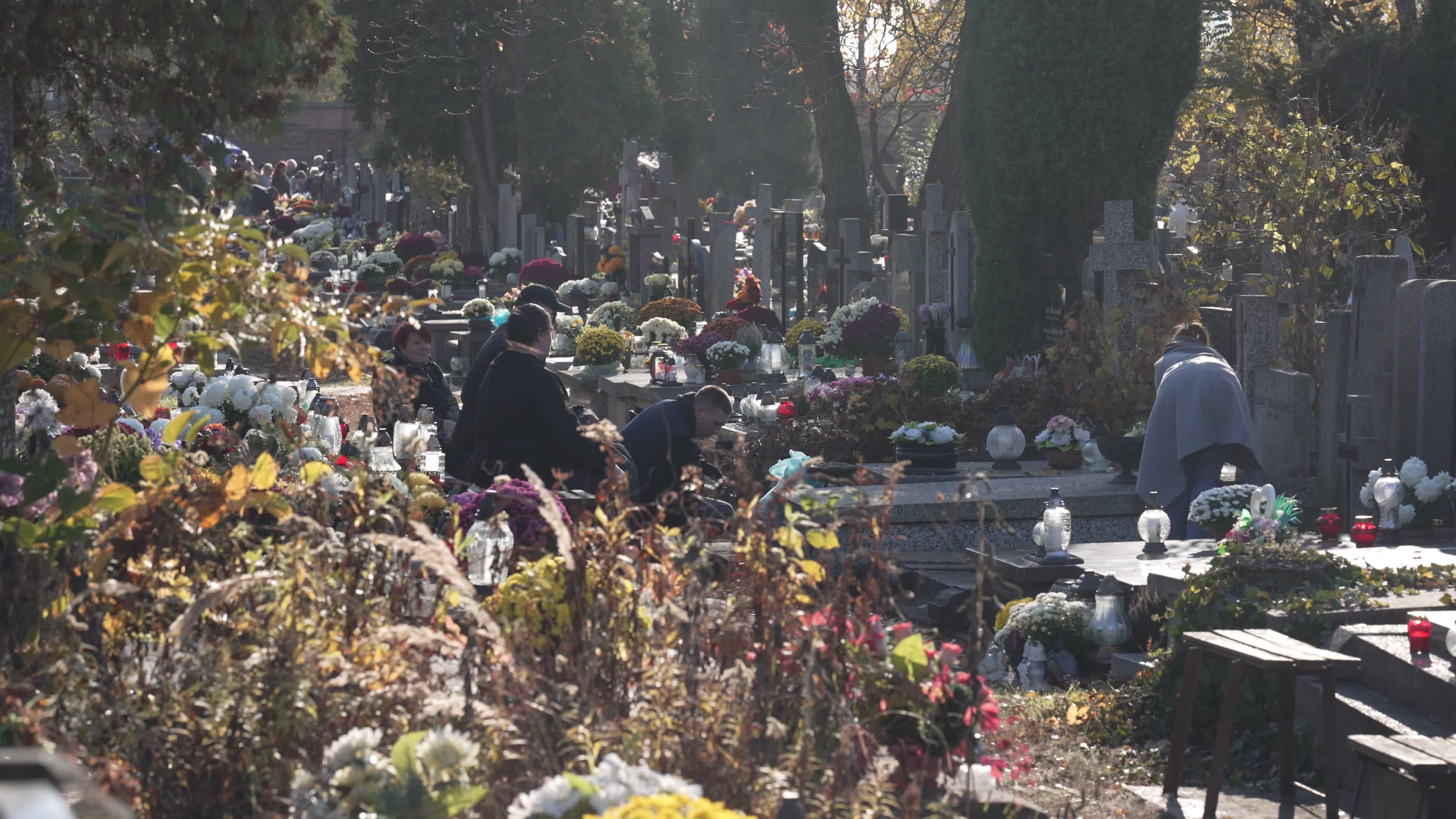 Thousands visit Brodno Cemetery in Warsaw on All Saints