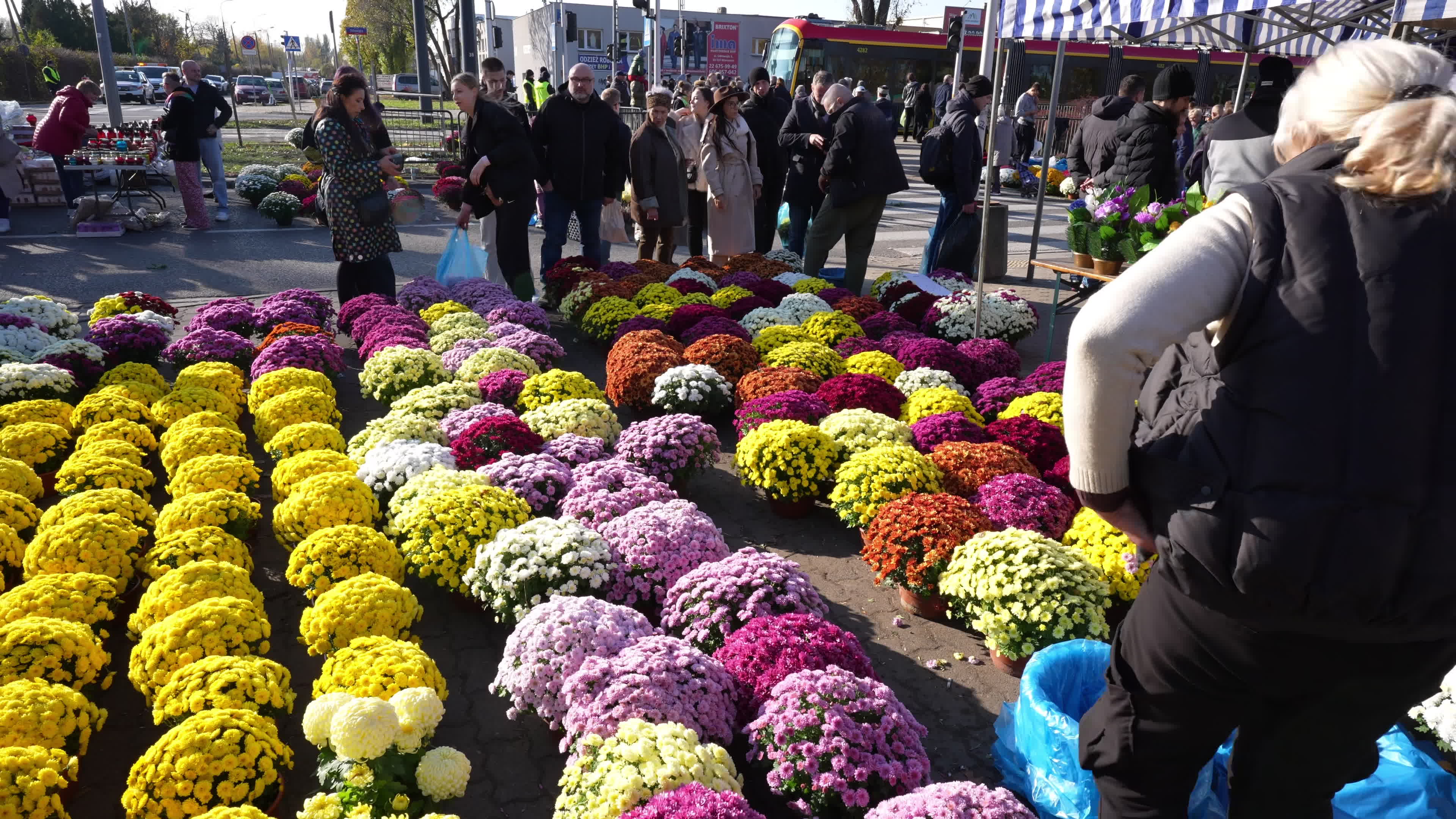 Thousands visit Brodno Cemetery in Warsaw on All Saints