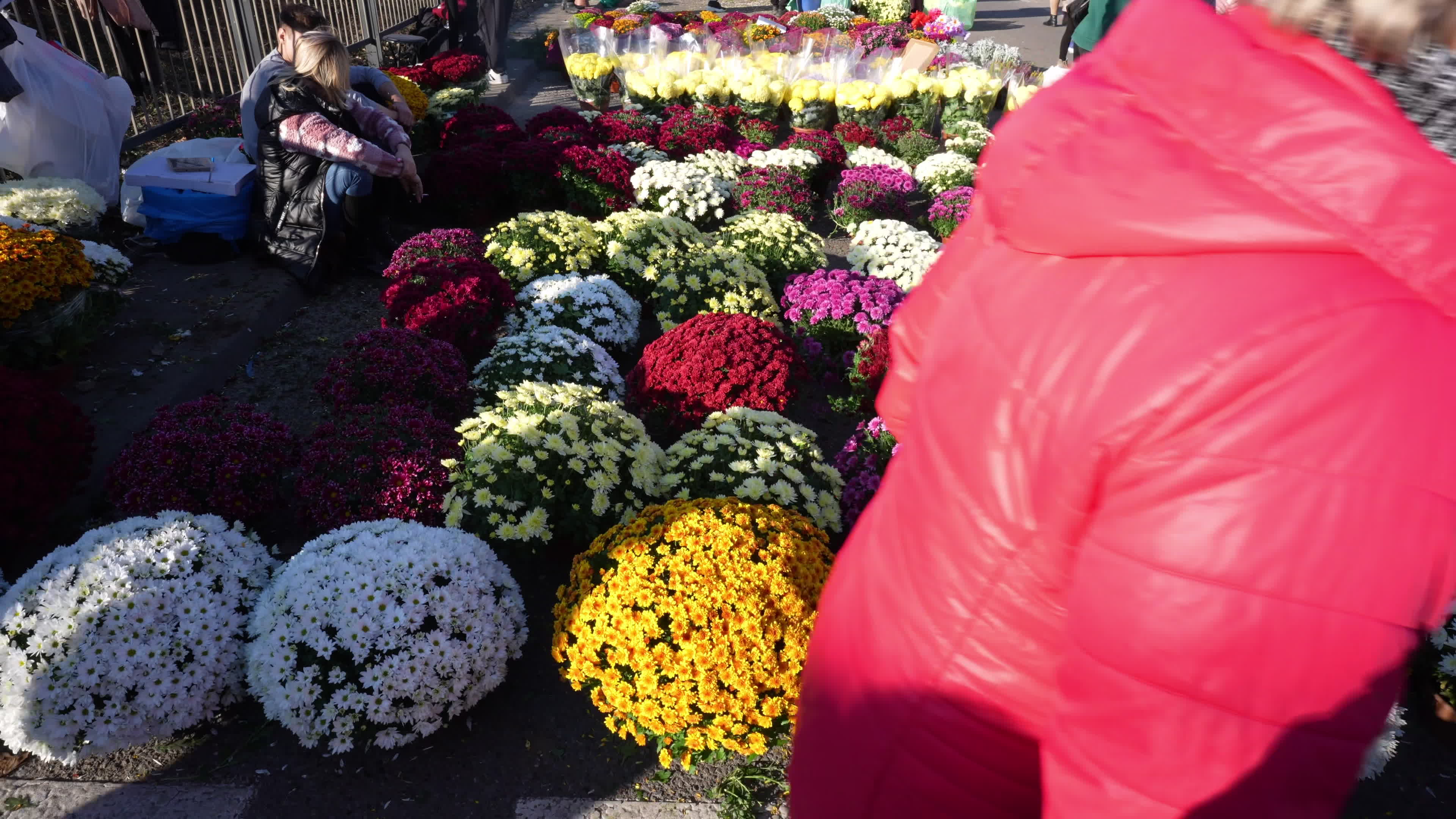 Thousands visit Brodno Cemetery in Warsaw on All Saints