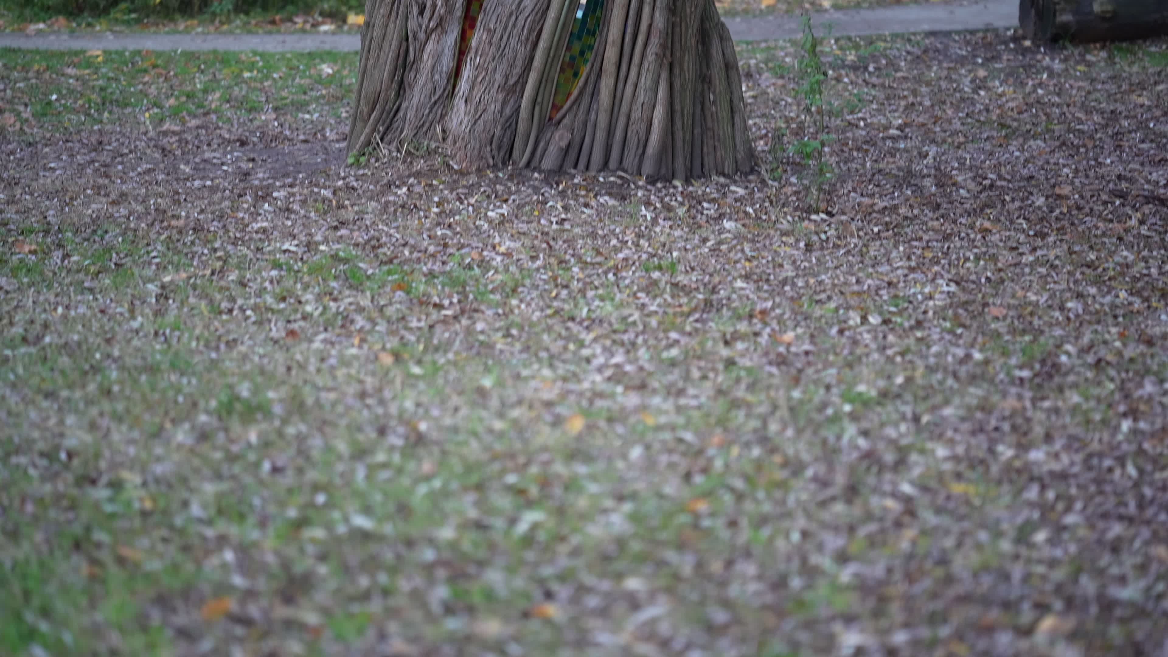 Willow Temple Artwork Revived in Warsaw
