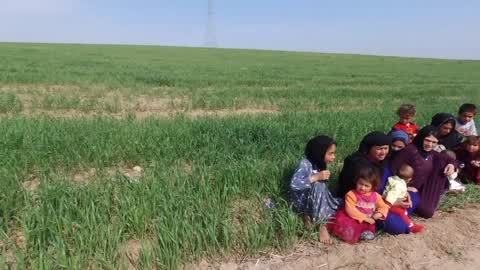 Refugee Camp Near Mosul
