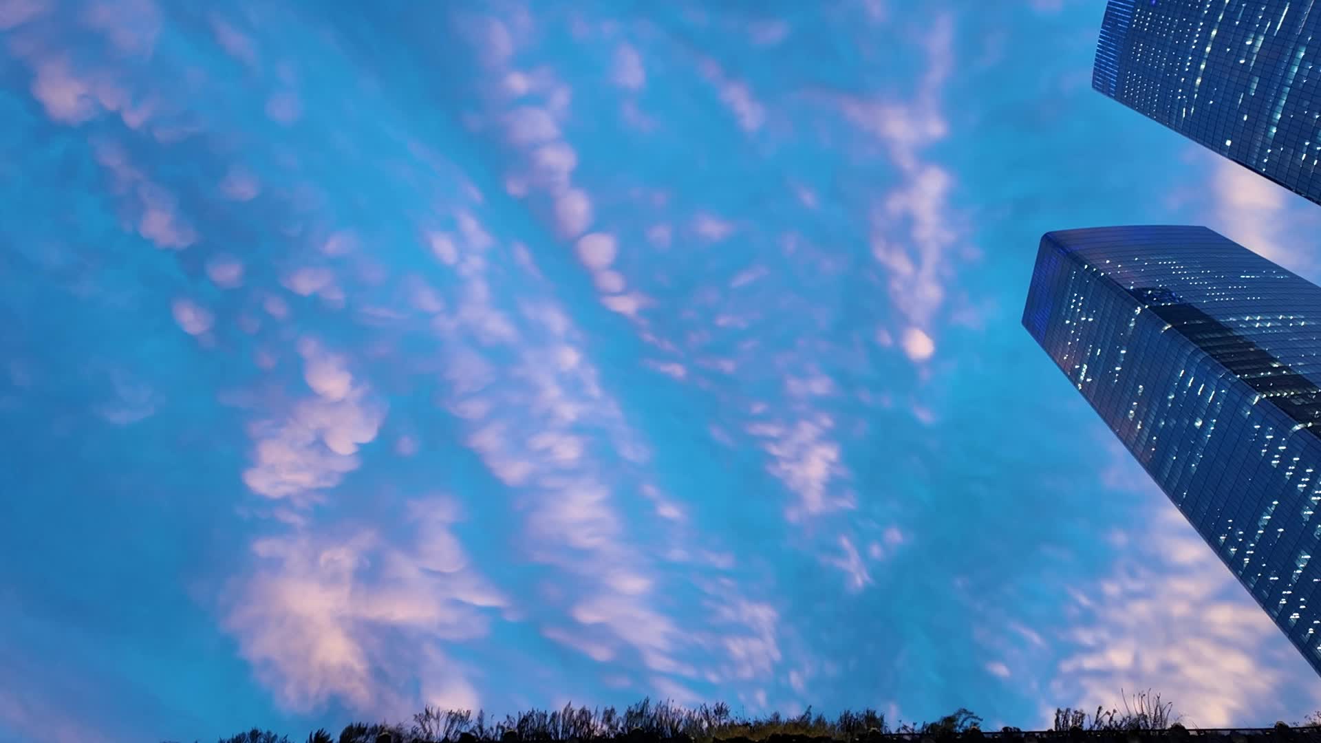 New York Street Scenes