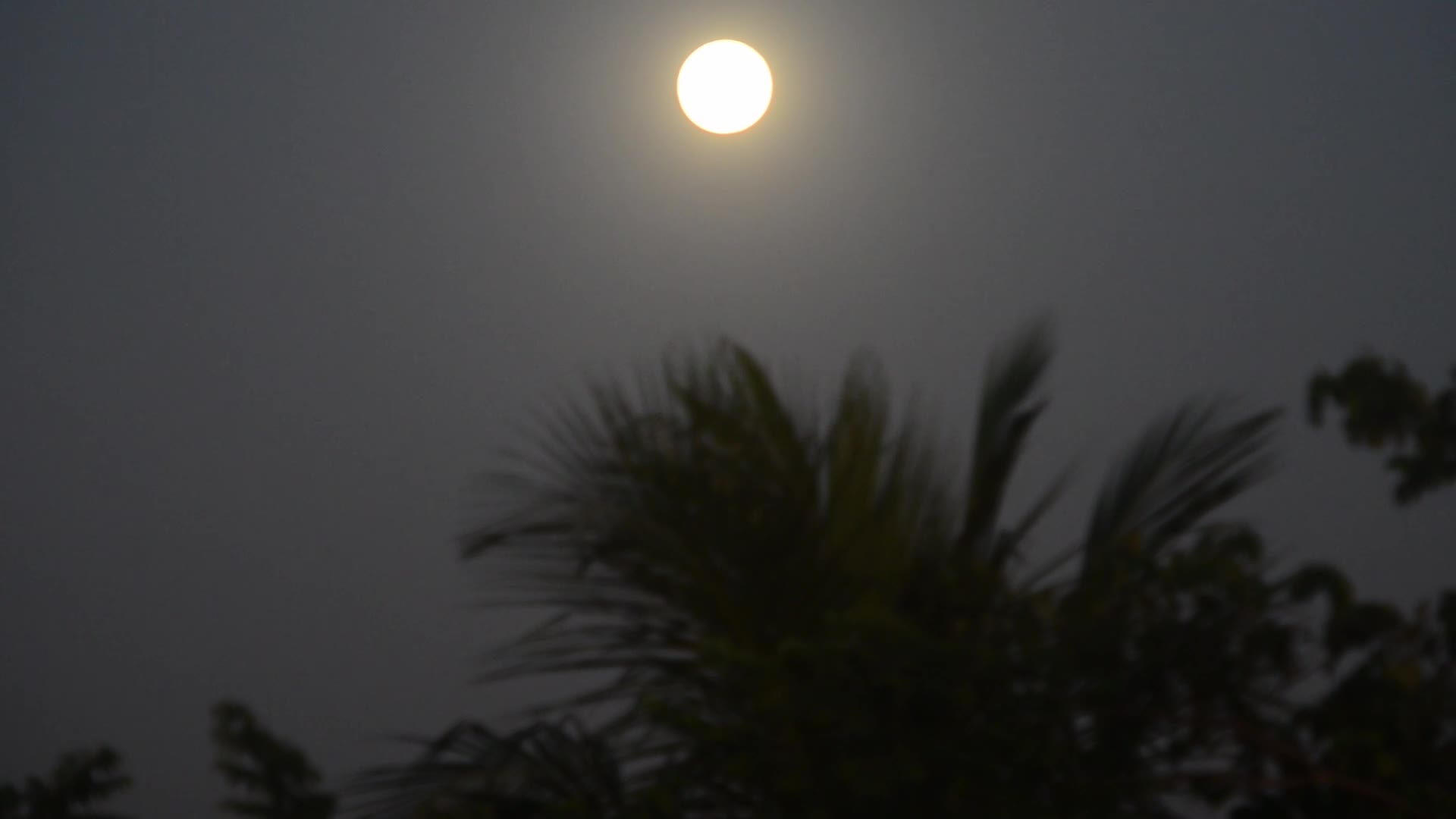 India Astronomy Full Beaver Moon