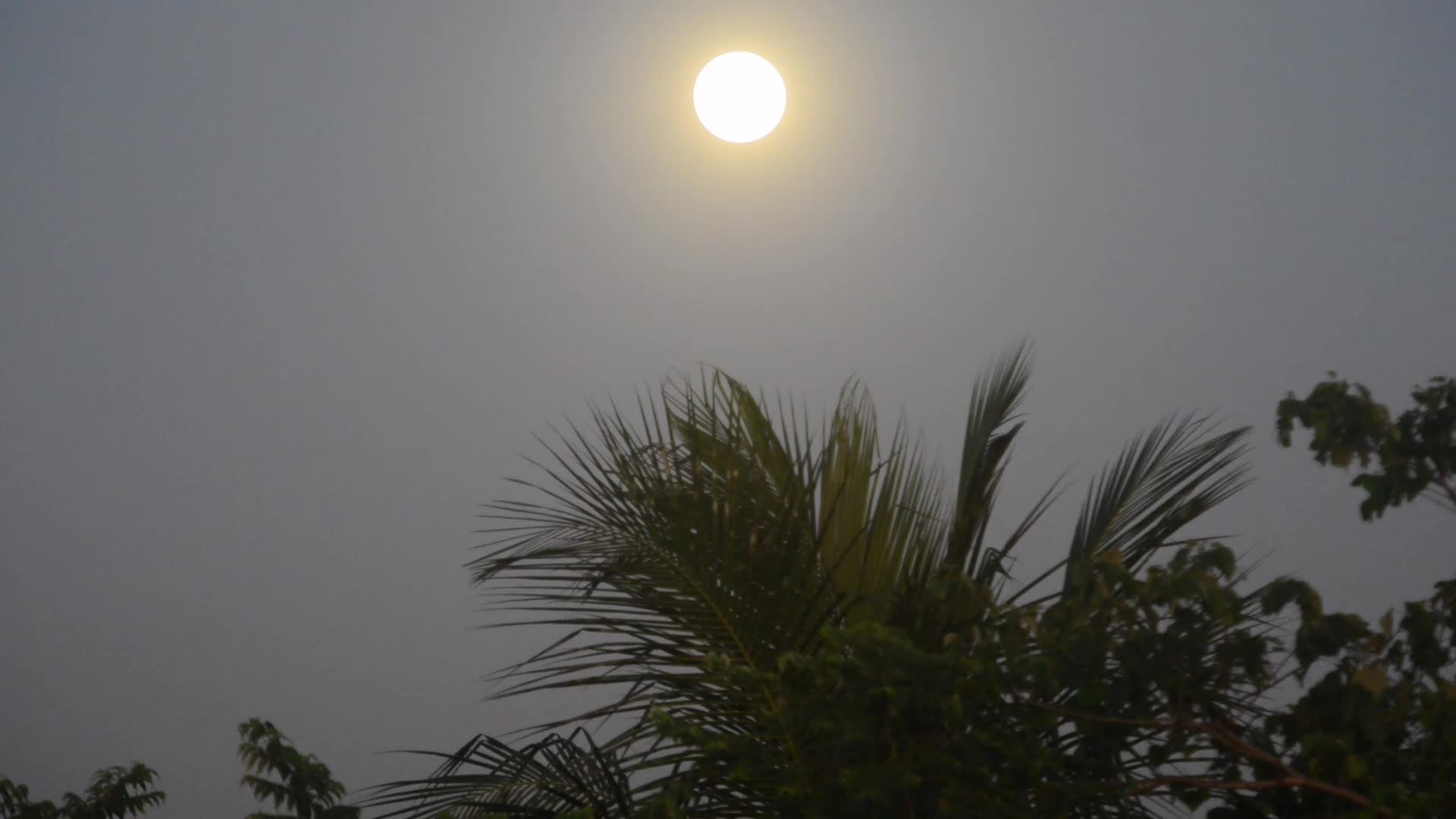 India Astronomy Full Beaver Moon
