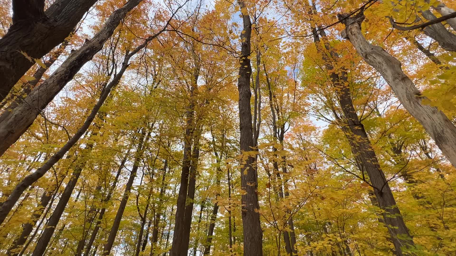 Autumn season in Scarborough