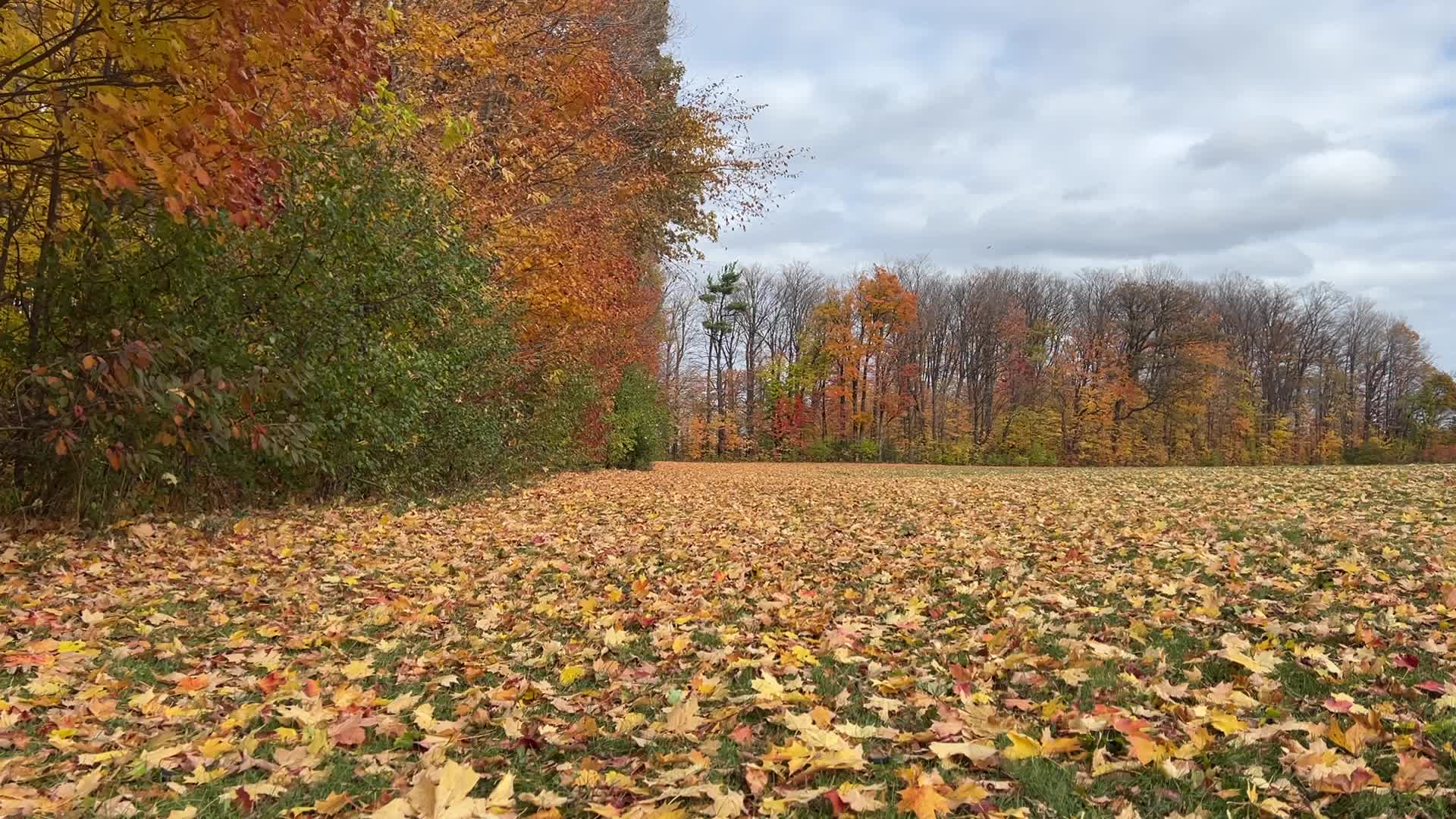 Autumn season in Scarborough