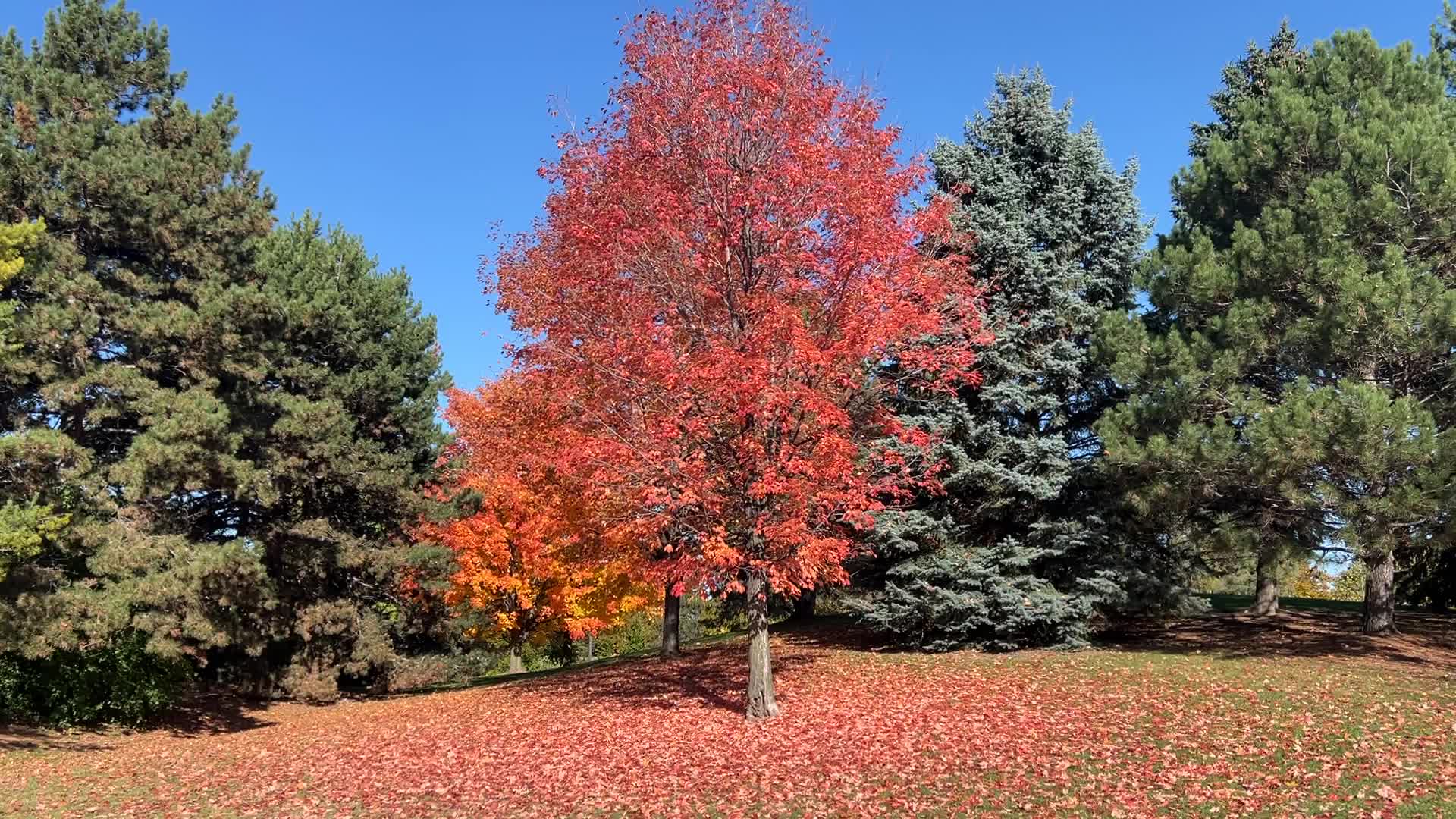 Autumn season in Scarborough