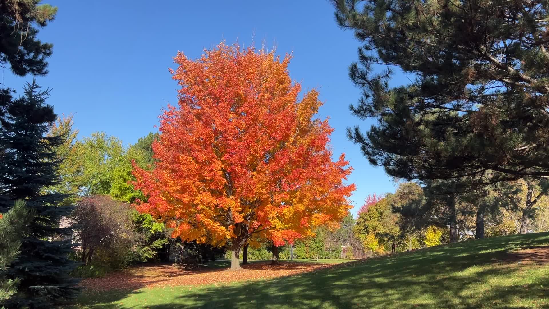 Autumn season in Scarborough