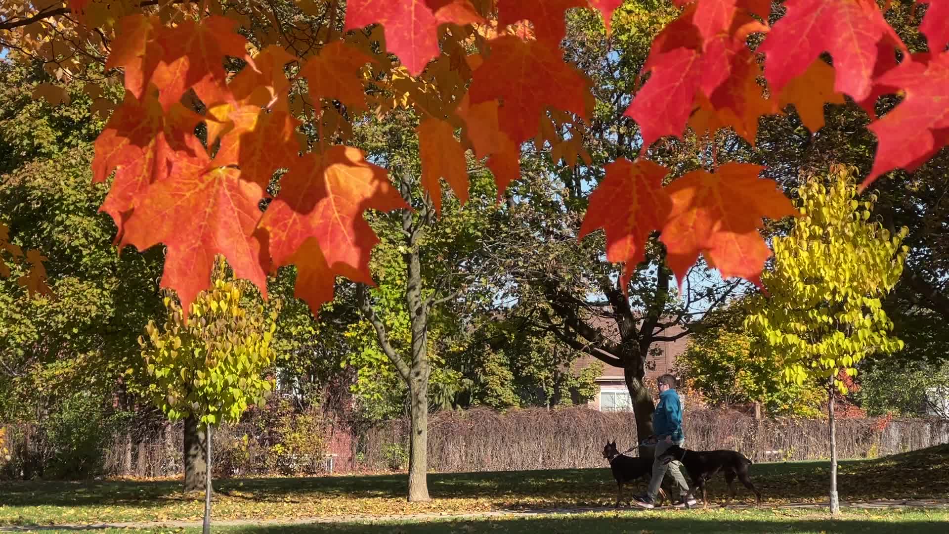Autumn season in Scarborough