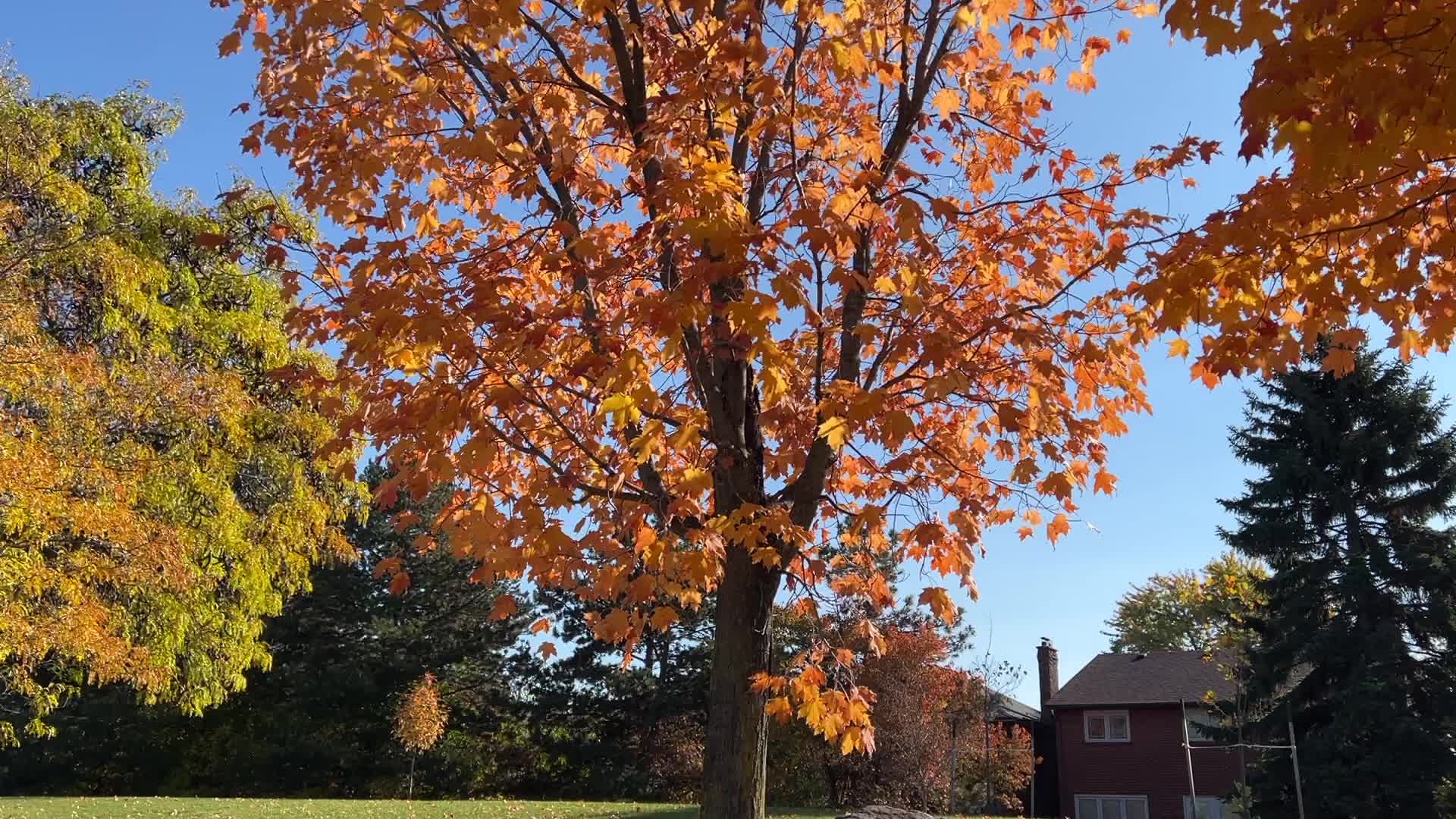 Autumn season in Scarborough