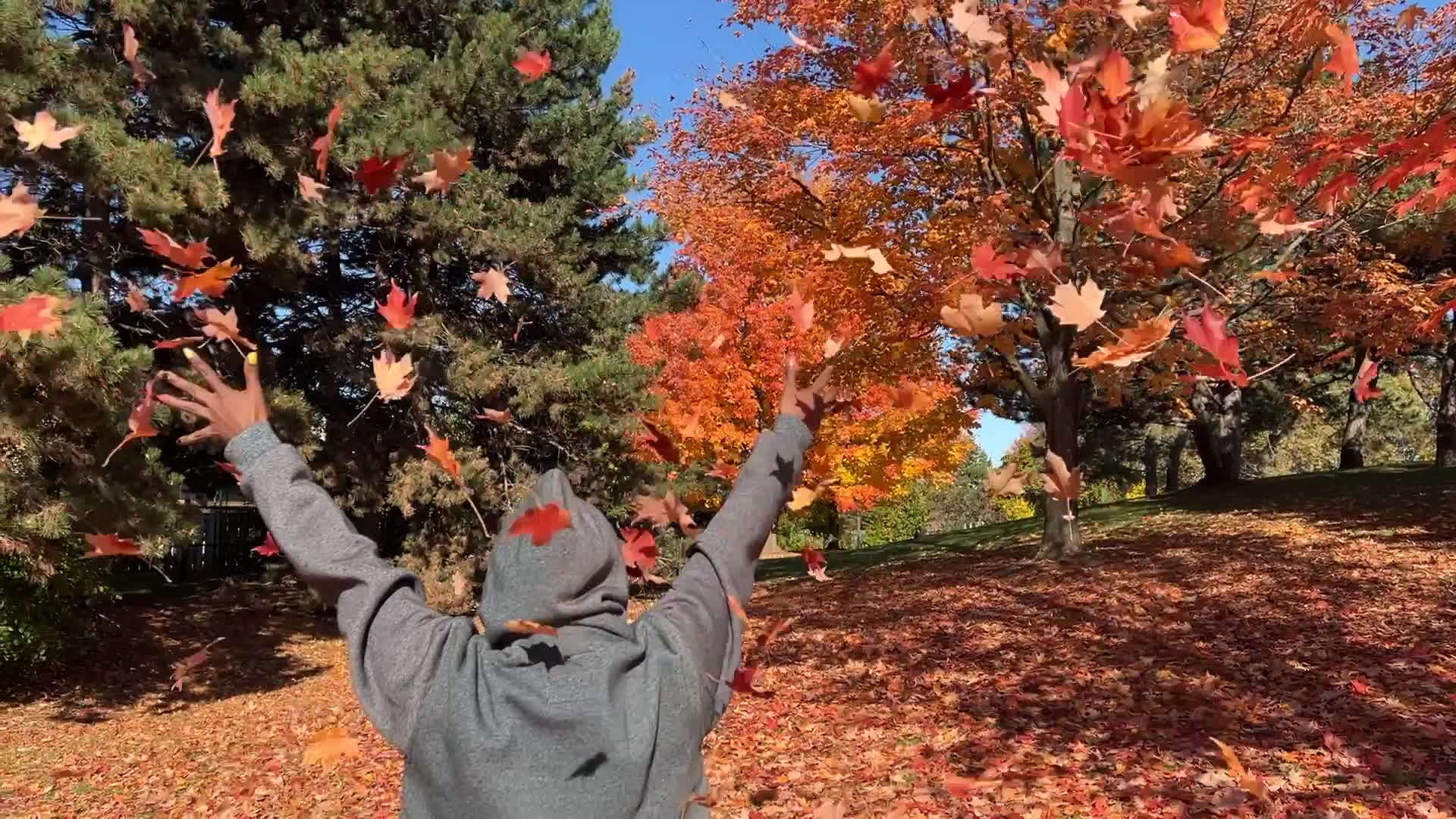Autumn season in Scarborough
