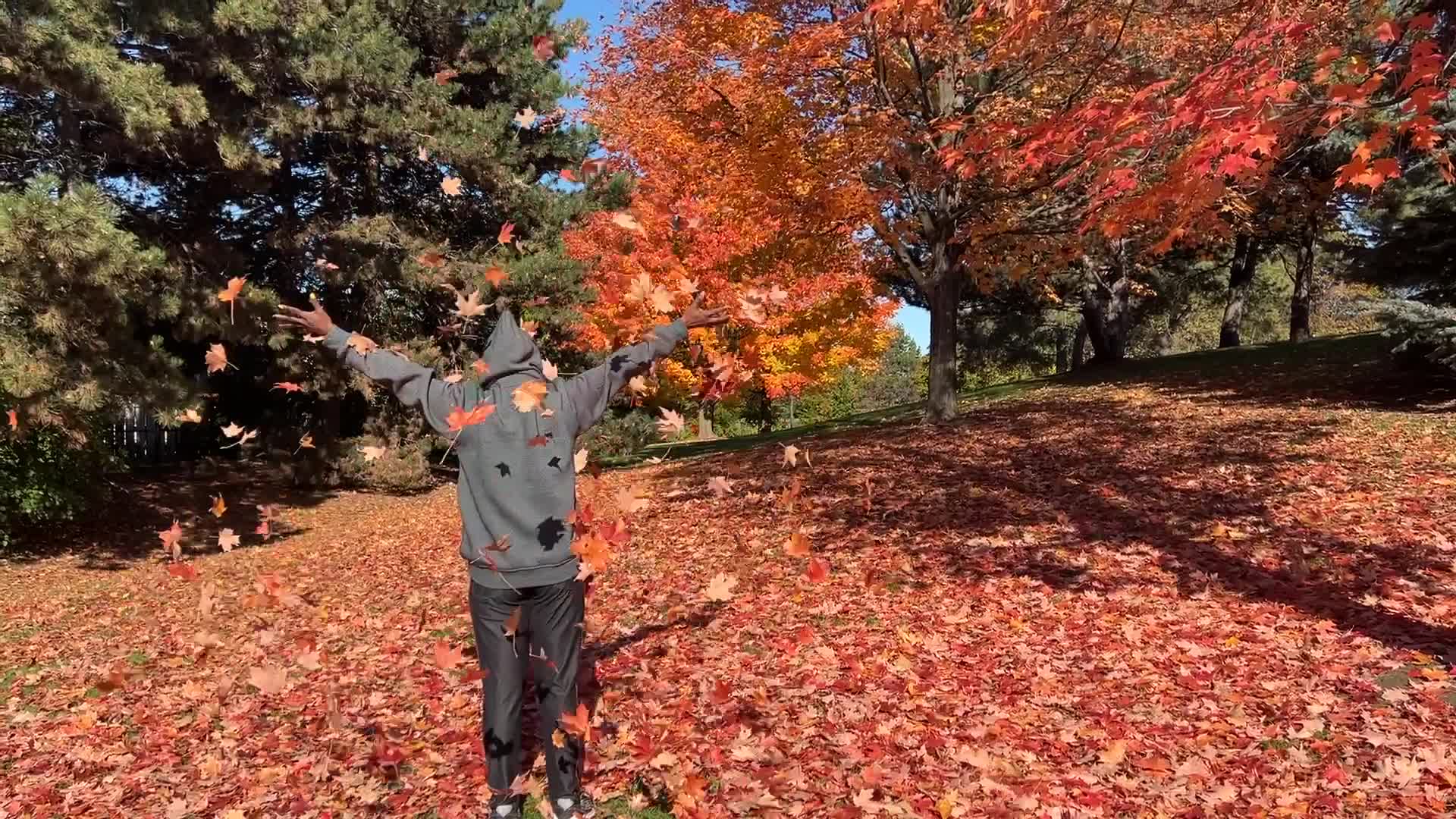Autumn season in Scarborough