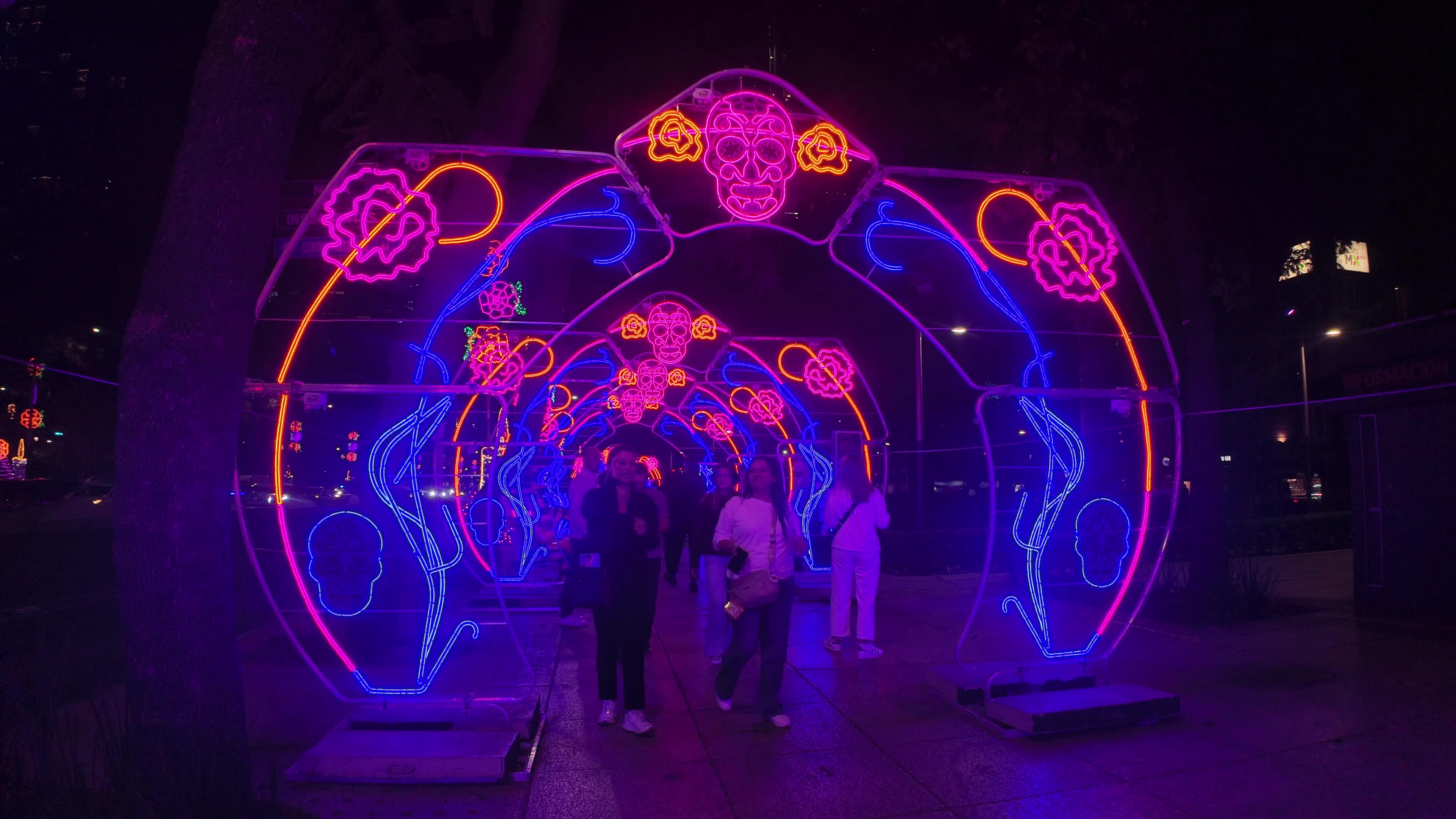 Illuminated Day of the Dead Light Display in Mexico City