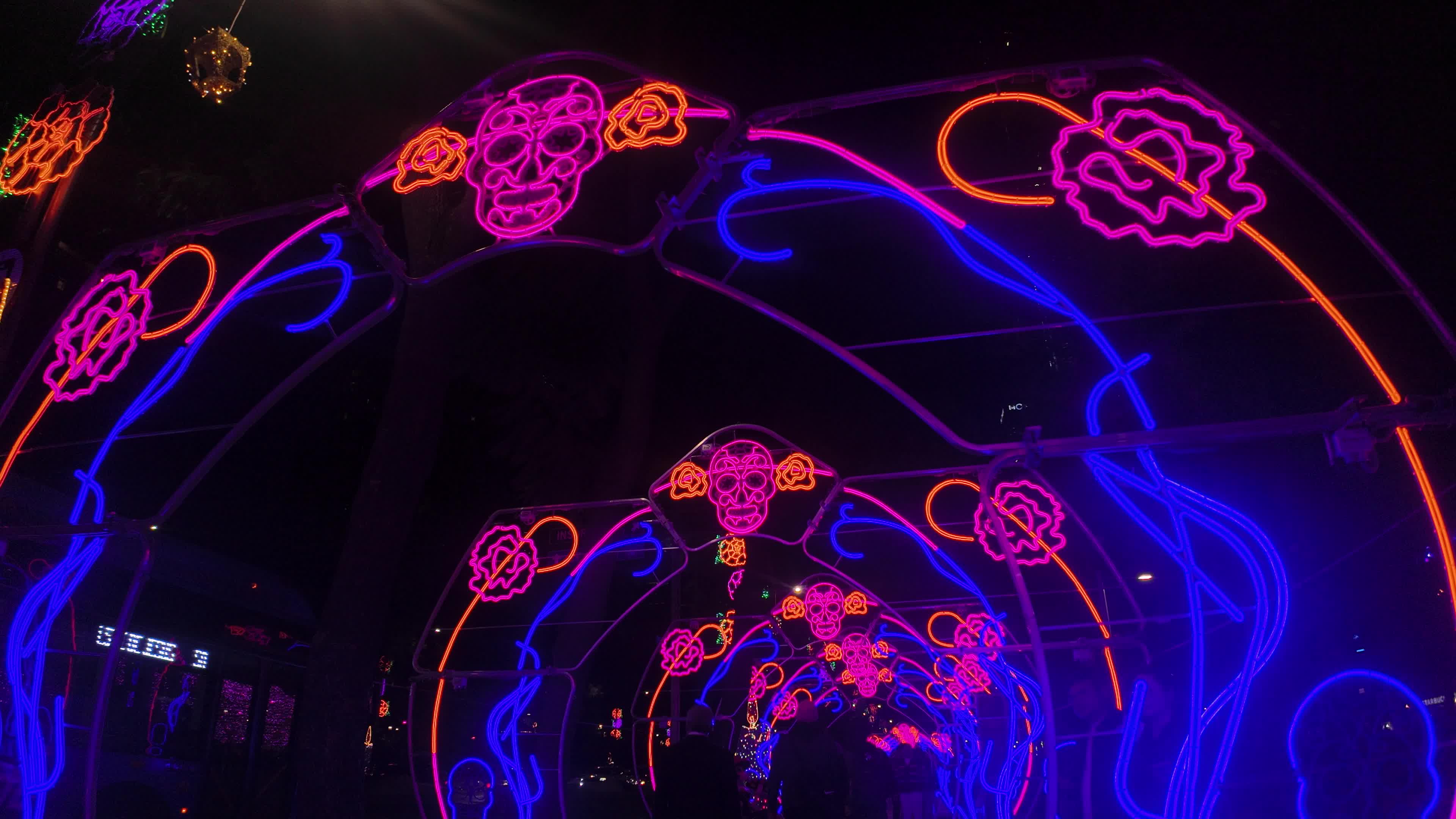 Illuminated Day of the Dead Light Display in Mexico City