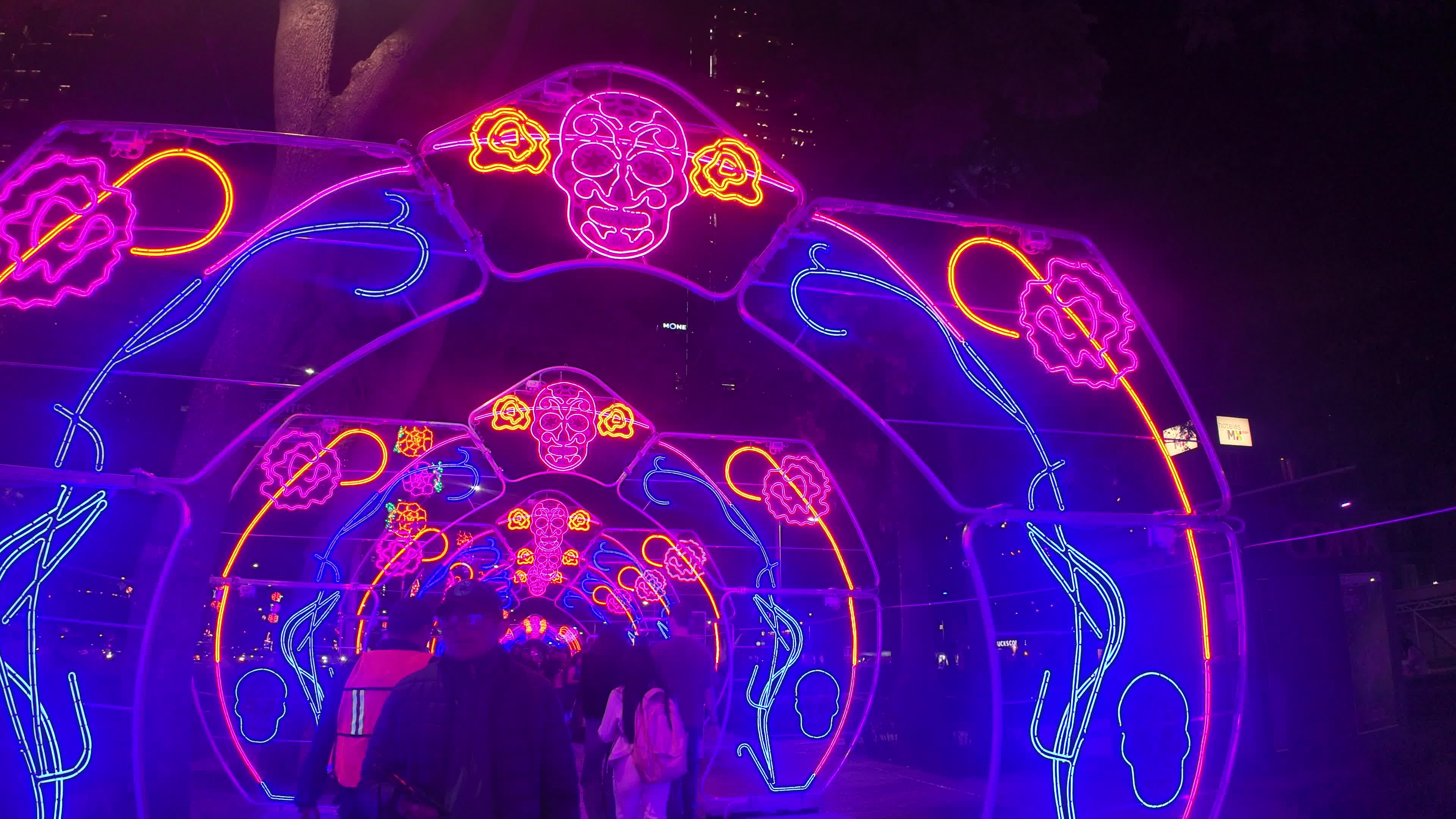 Illuminated Day of the Dead Light Display in Mexico City