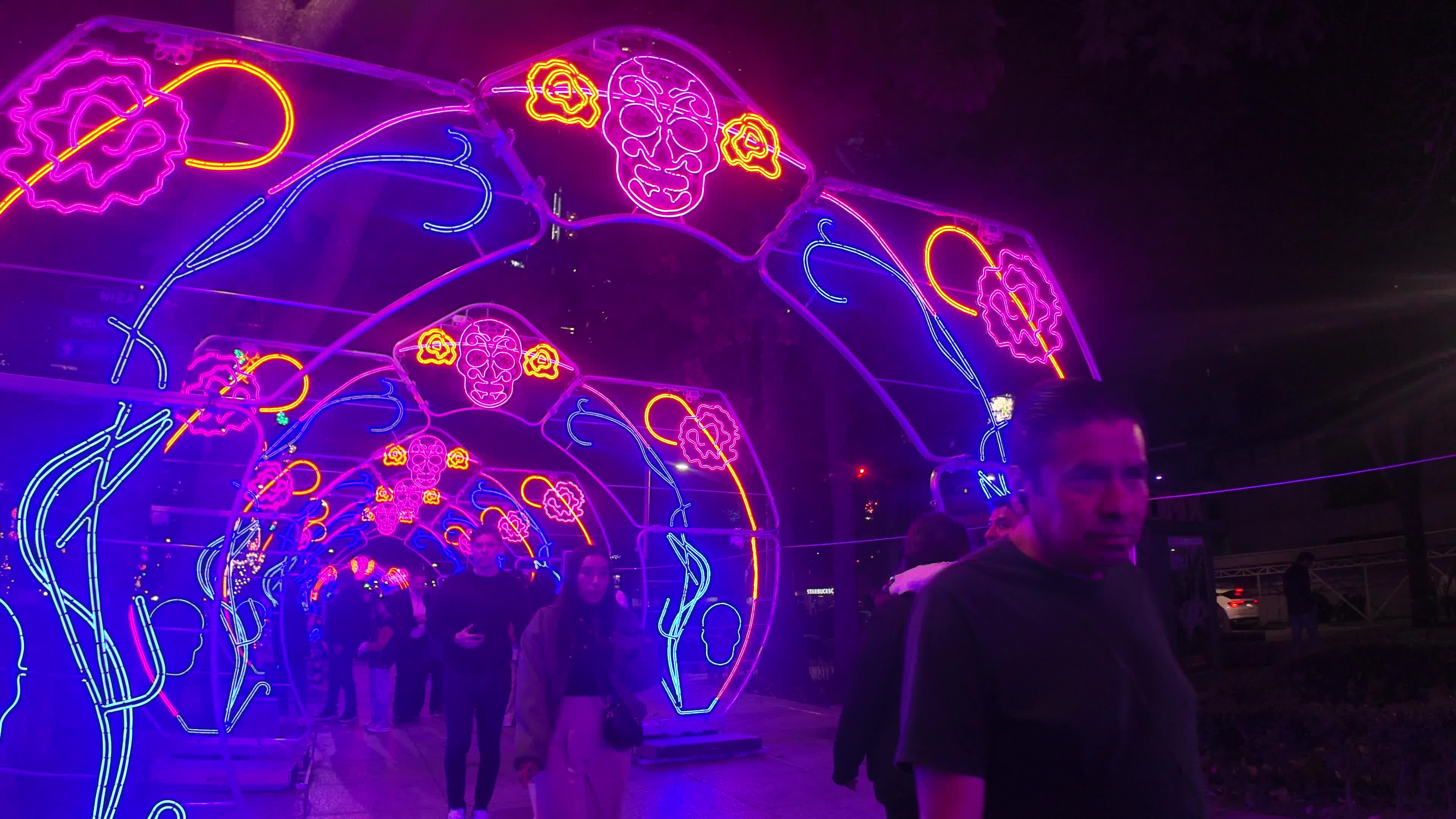 Illuminated Day of the Dead Light Display in Mexico City
