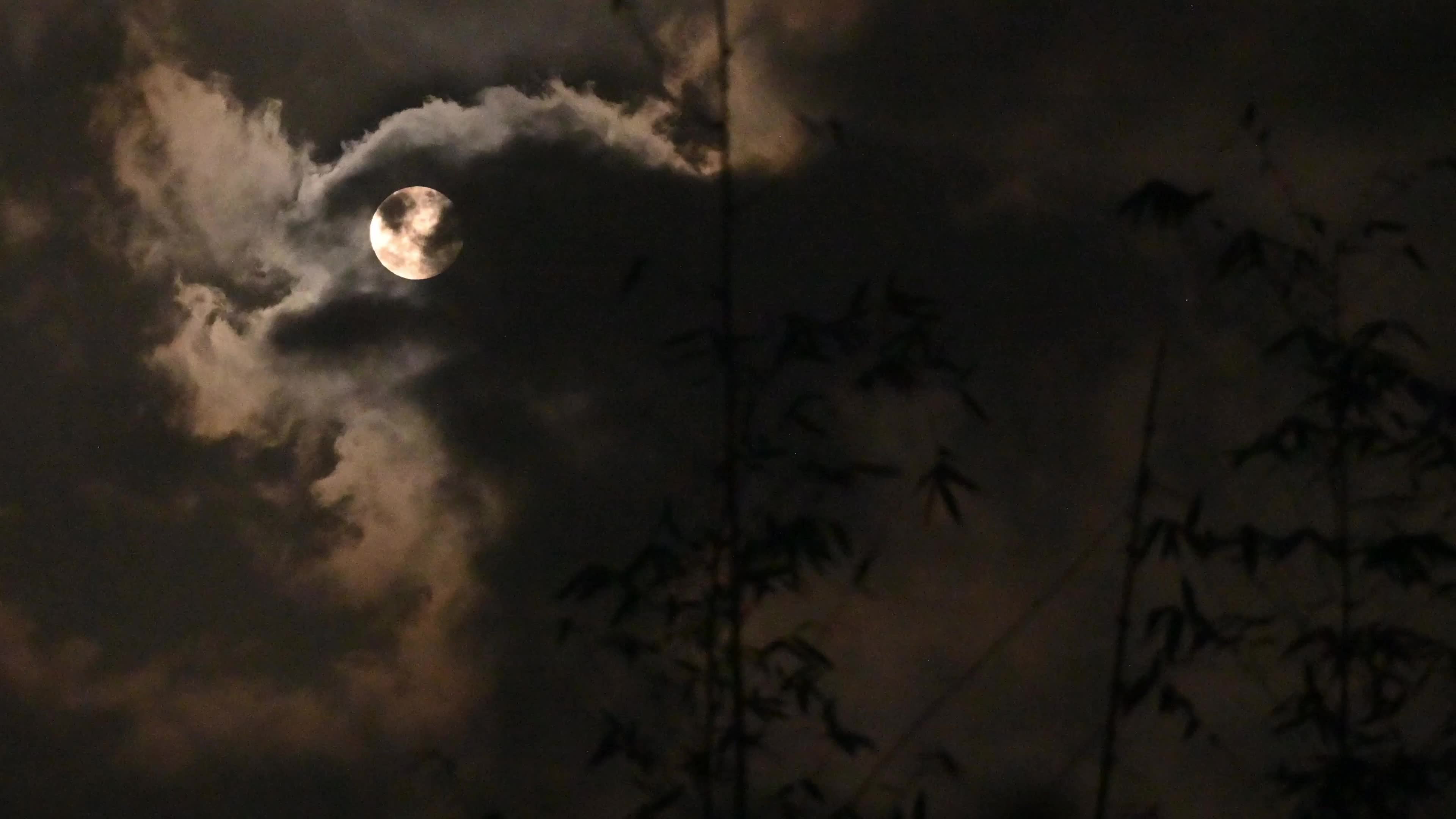 Beaver Moon 2025’s brightest Supermoon