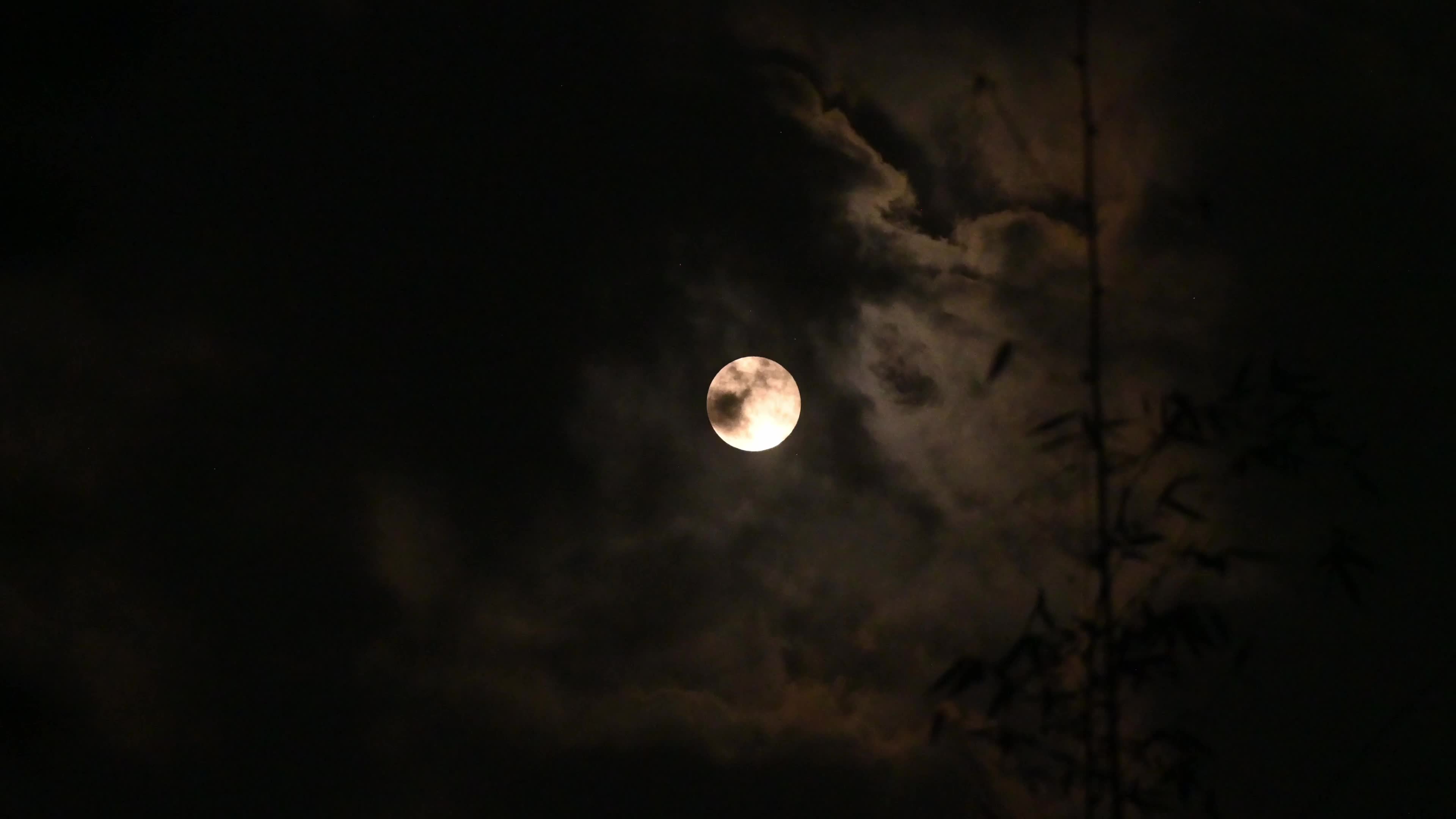 Beaver Moon 2025’s brightest Supermoon