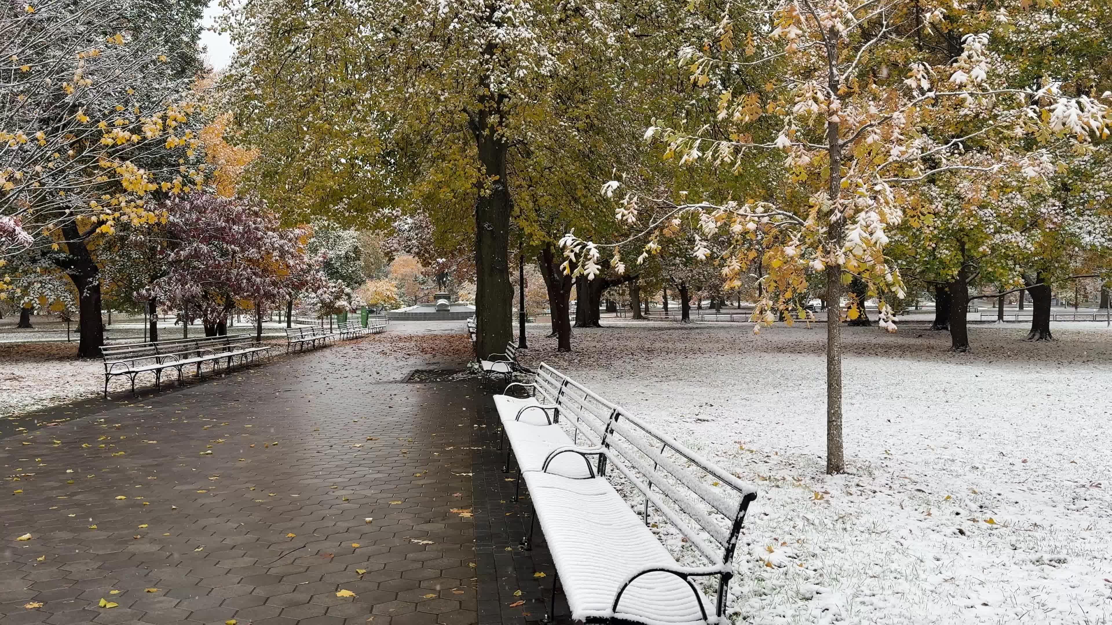 First snow of the season, Toronto, Canada