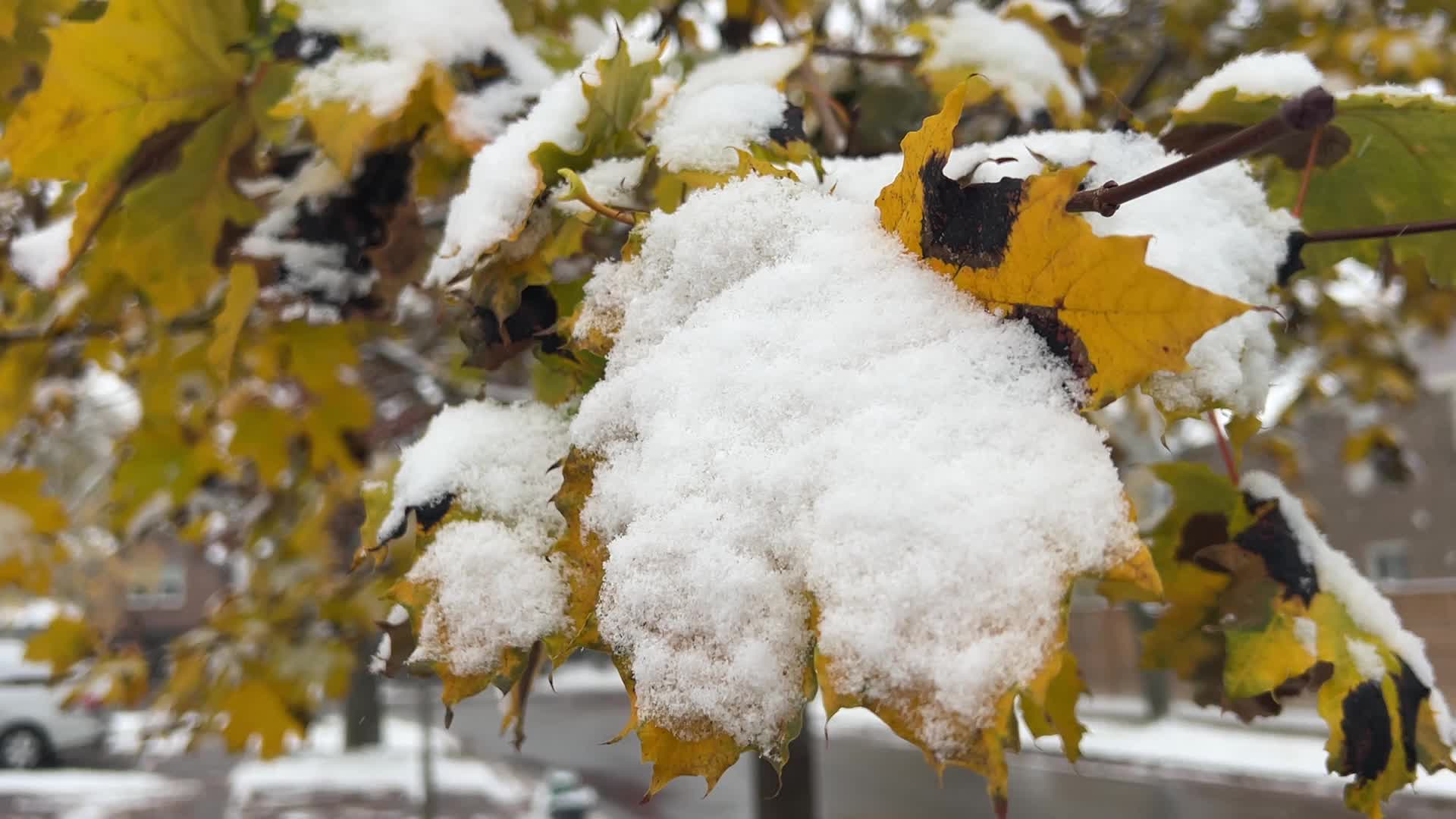 First snowfall of the season in Toronto, Canada