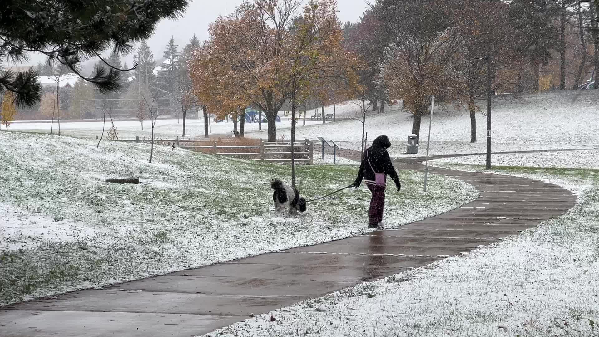 First snowfall of the season in Toronto, Canada