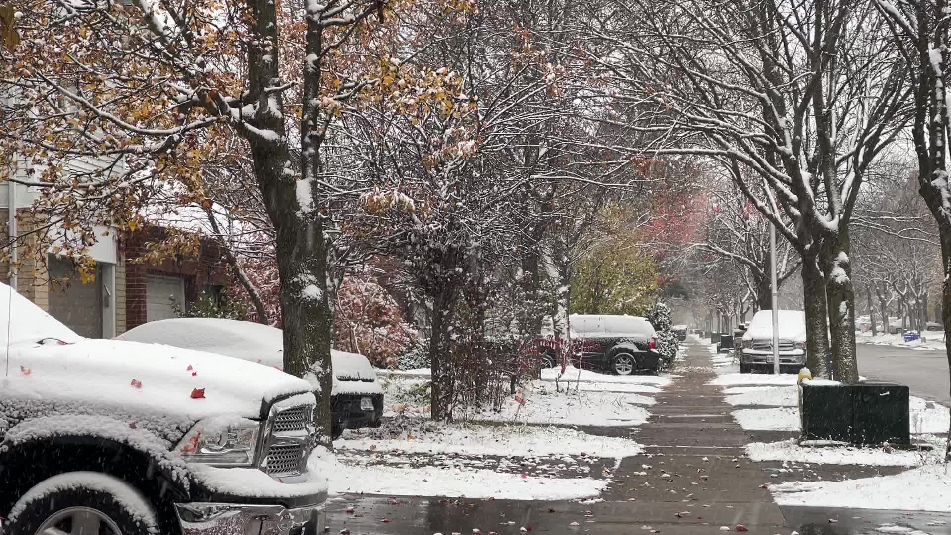 First snowfall of the season in Toronto, Canada