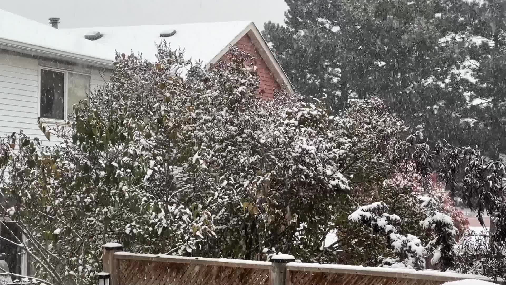 First snowfall of the season in Toronto, Canada