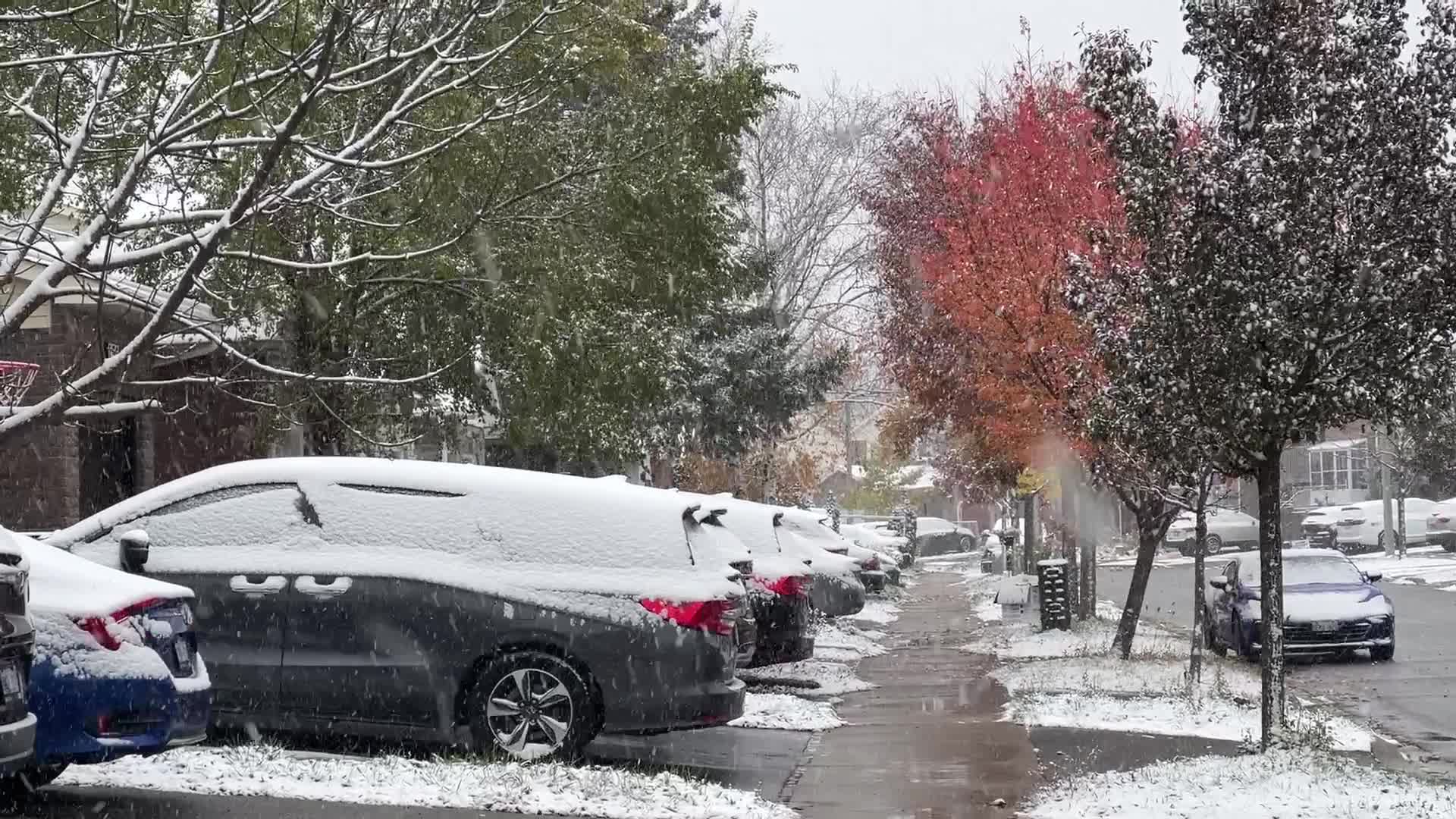 First snowfall of the season in Toronto, Canada