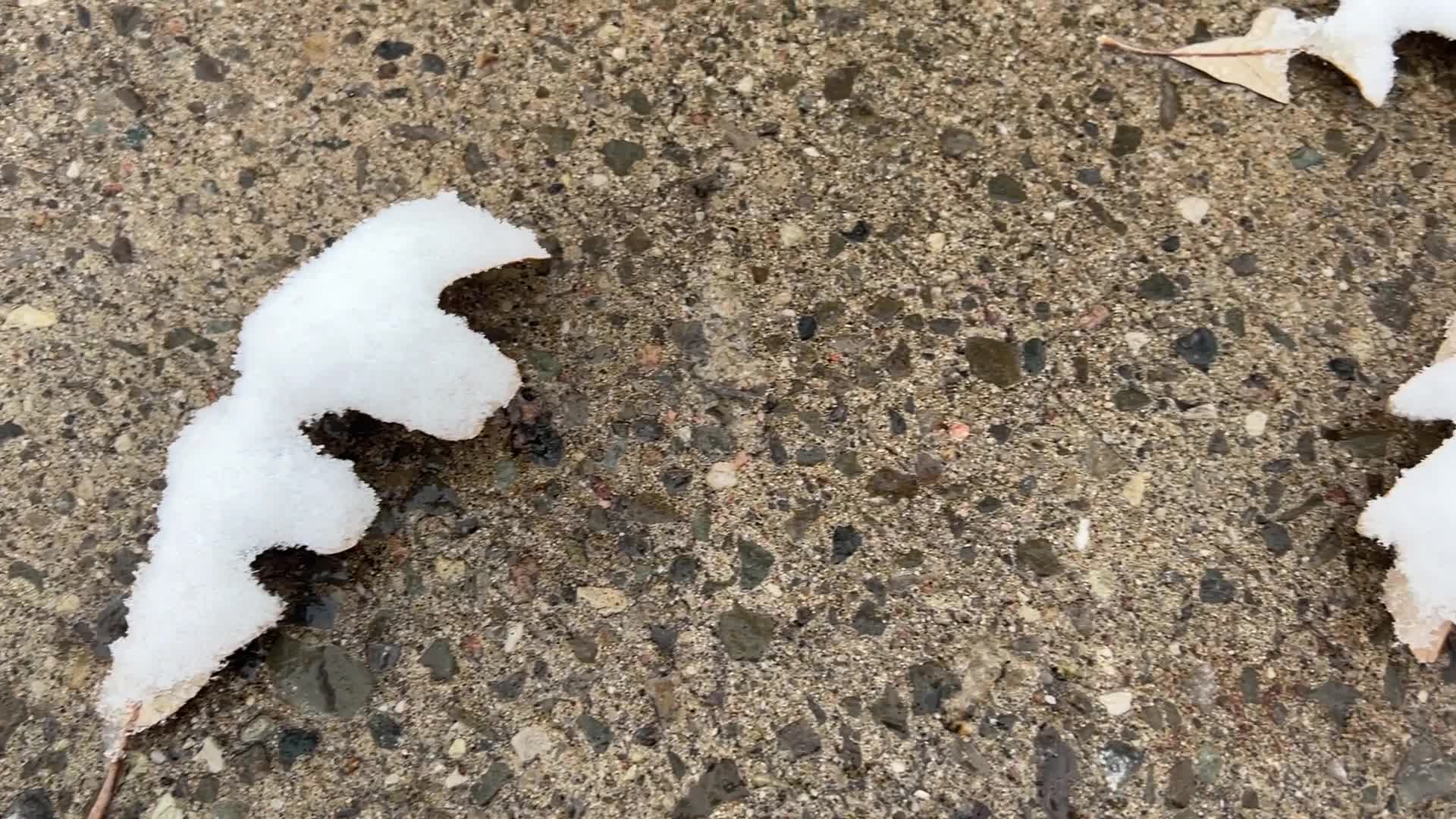 First snowfall of the season in Toronto, Canada