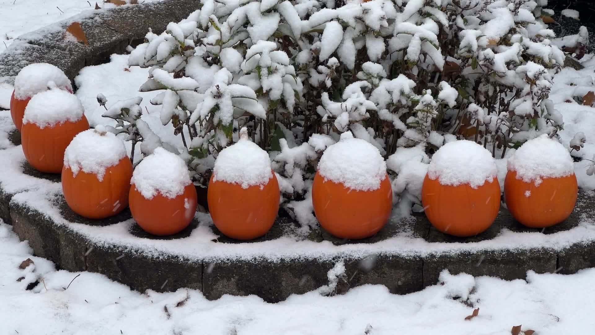 First snowfall of the season in Toronto, Canada