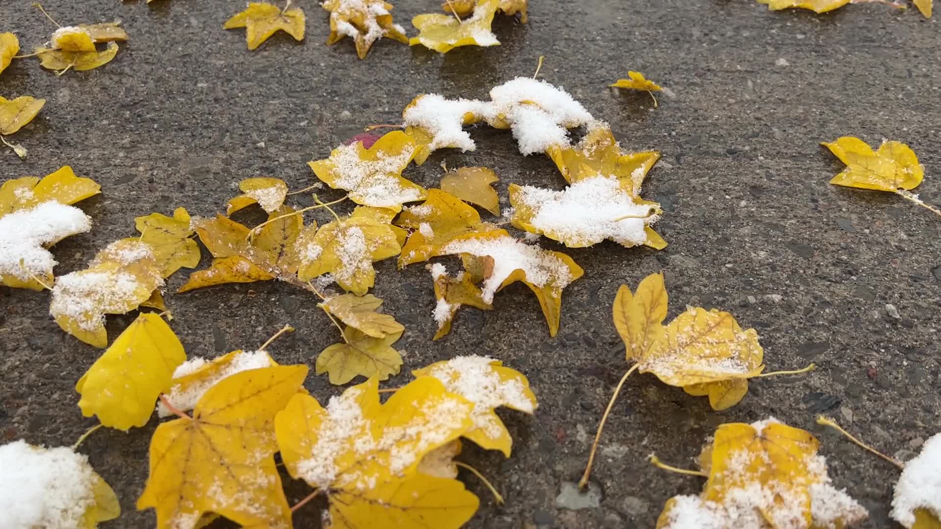 First snowfall of the season in Toronto, Canada