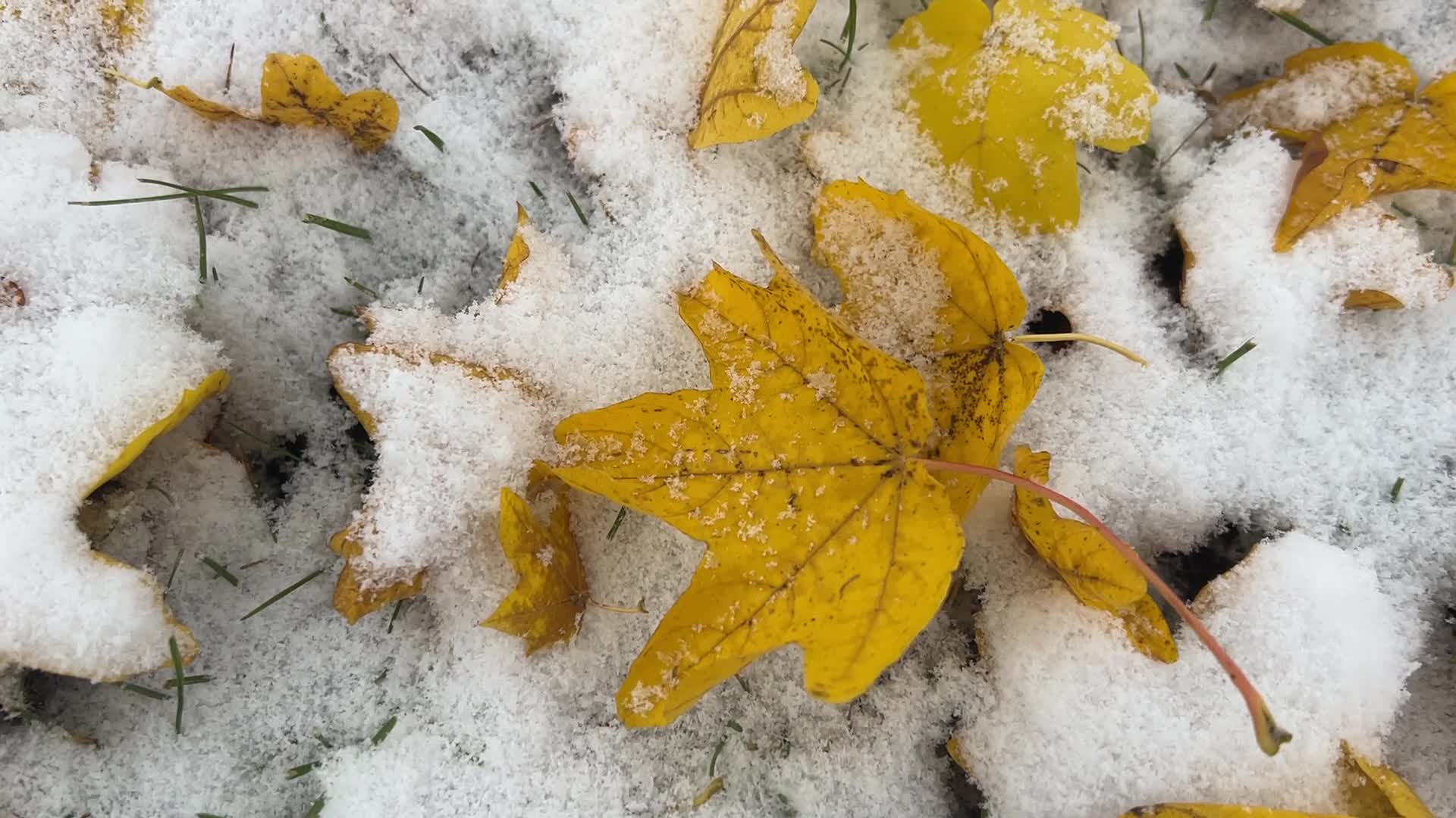 First snowfall of the season in Toronto, Canada