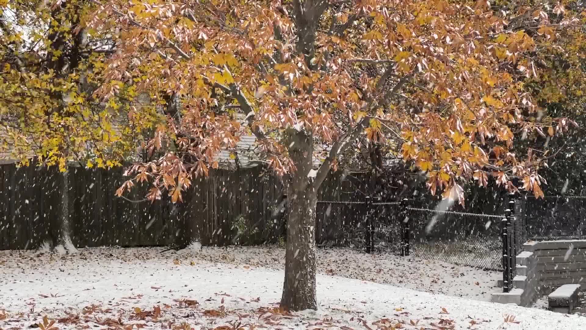 First snowfall of the season in Toronto, Canada