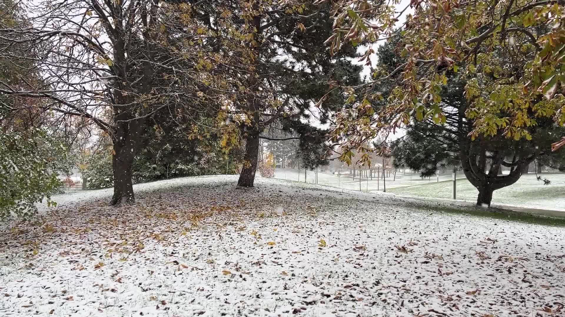 First snowfall of the season in Toronto, Canada