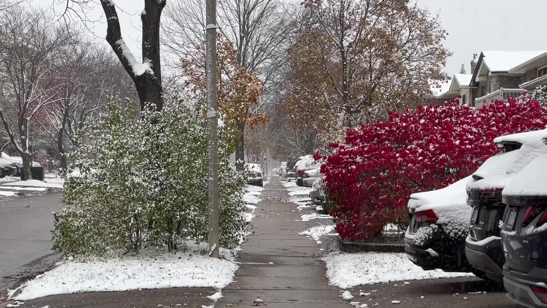 First snowfall of the season in Toronto, Canada