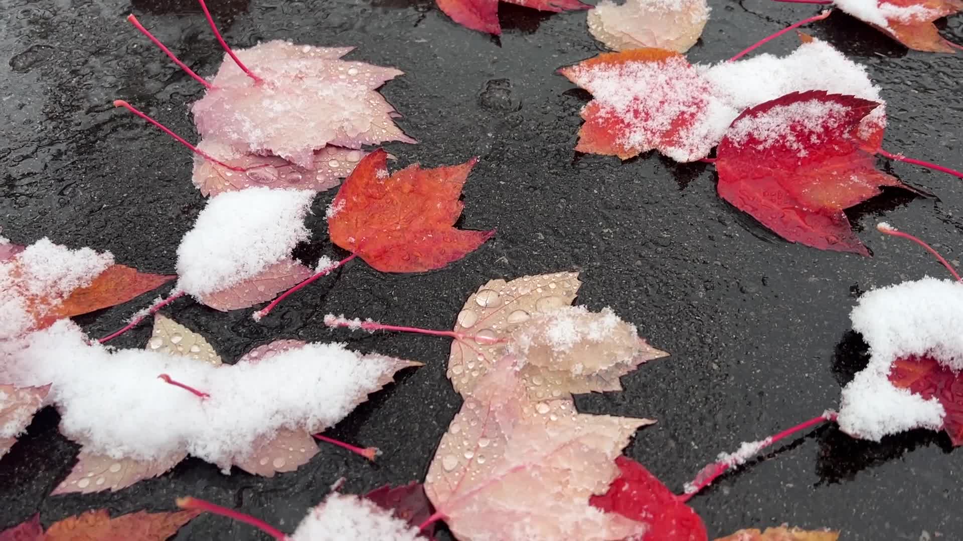 First snowfall of the season in Toronto, Canada