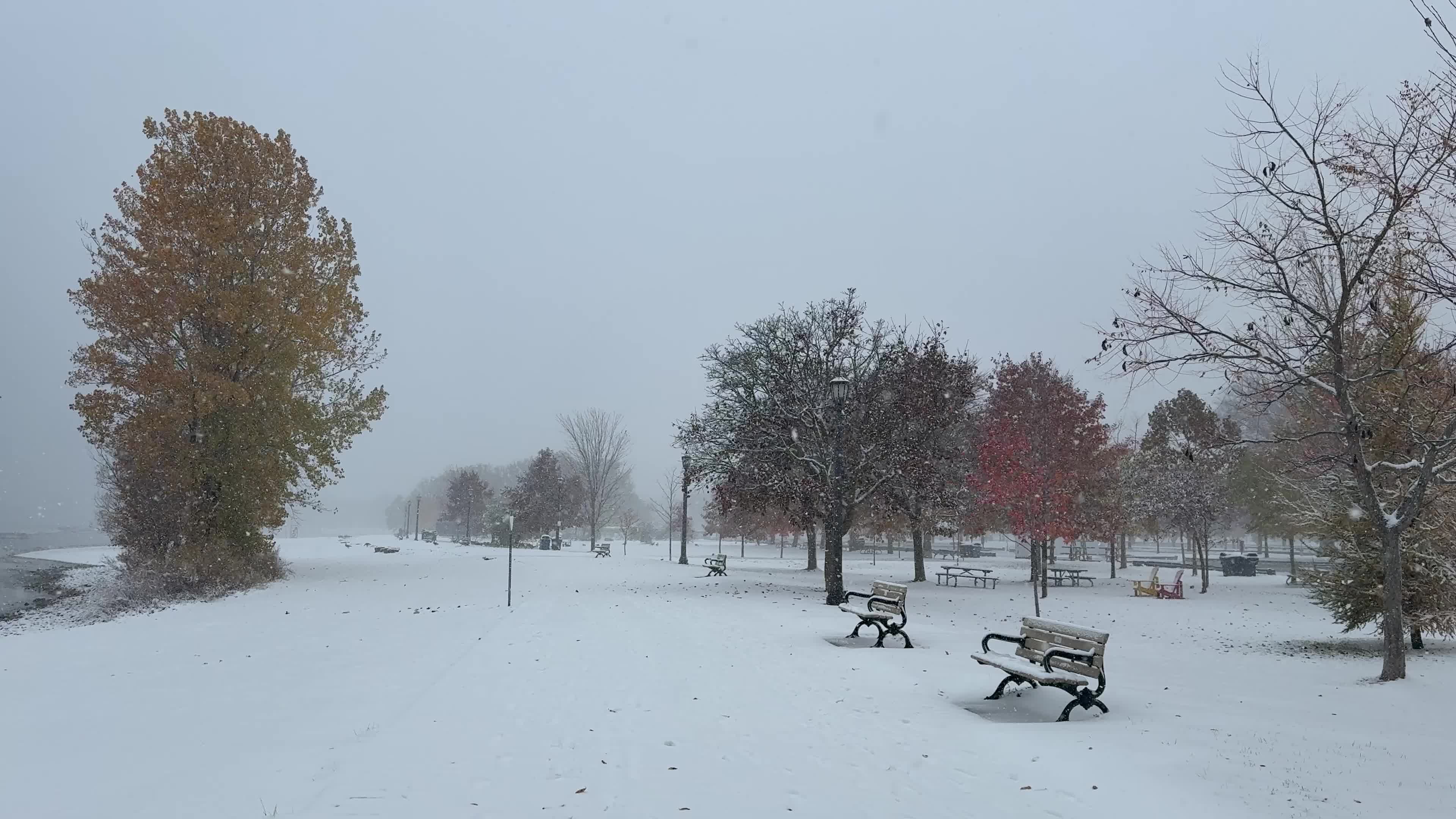 First snow of the season, Toronto, Canada