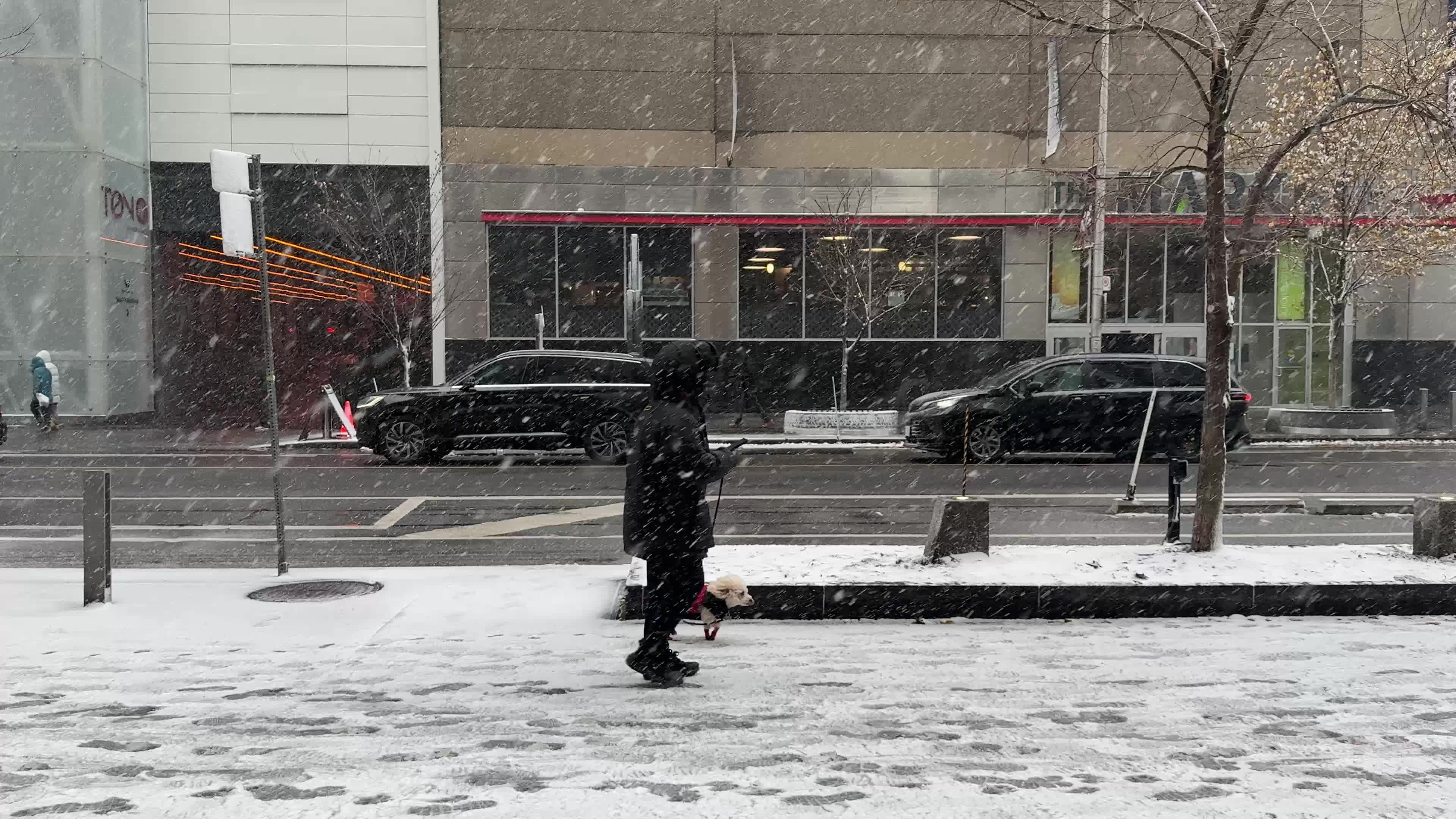 First snow of the season, Toronto, Canada