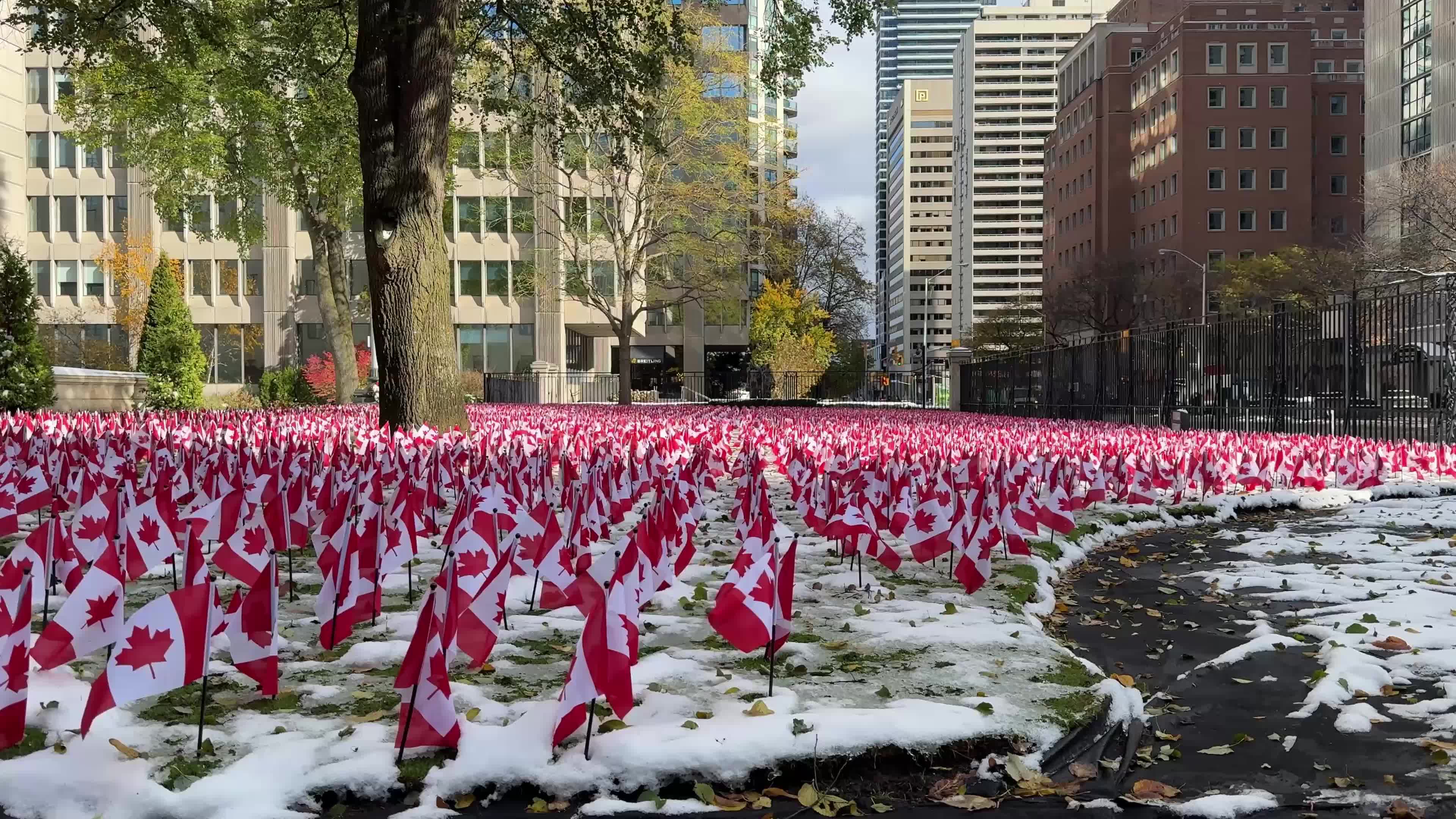 Remembrance Day in Toronto