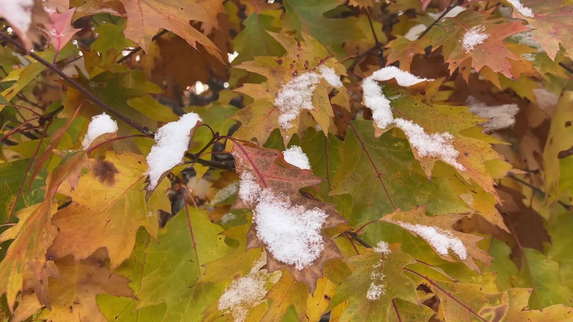 Autumn and Winter season intertwine in Canada
