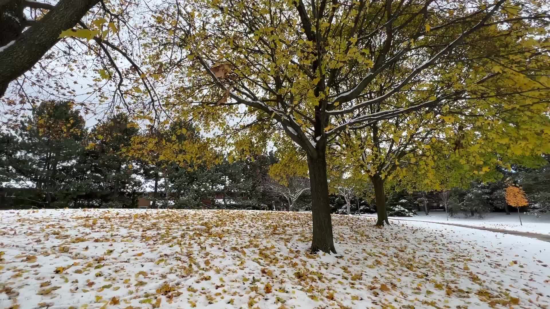 Autumn and Winter season intertwine in Canada