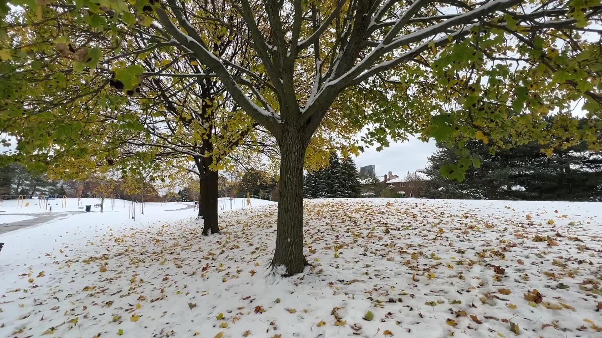 Autumn and Winter season intertwine in Canada