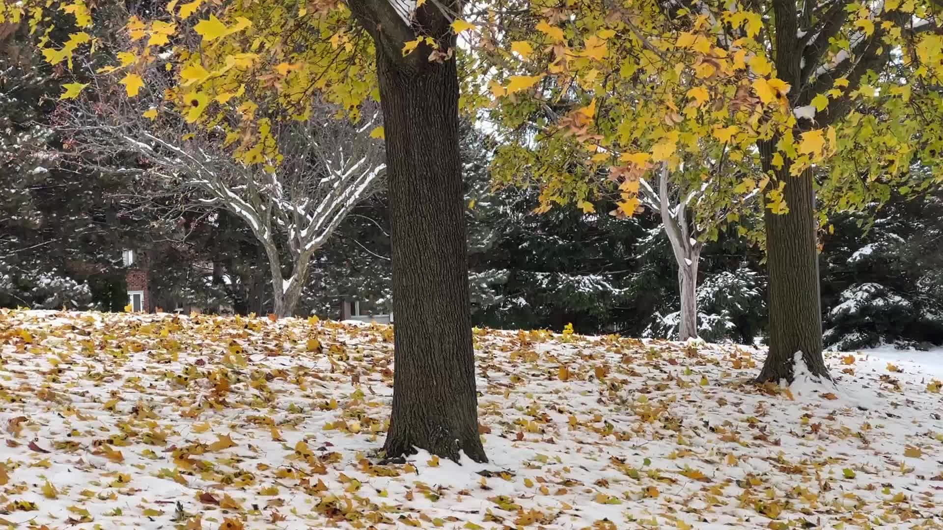 Autumn and Winter season intertwine in Canada