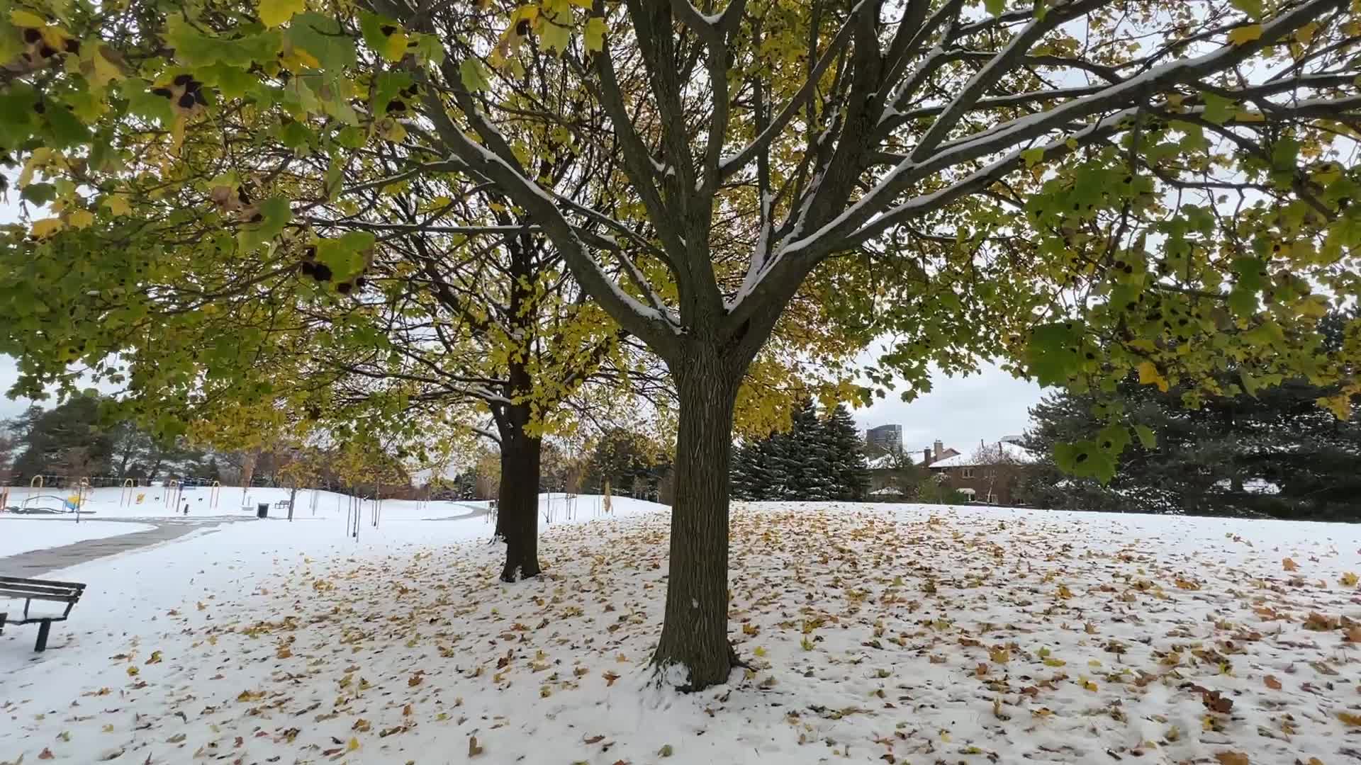 Autumn and Winter season intertwine in Canada