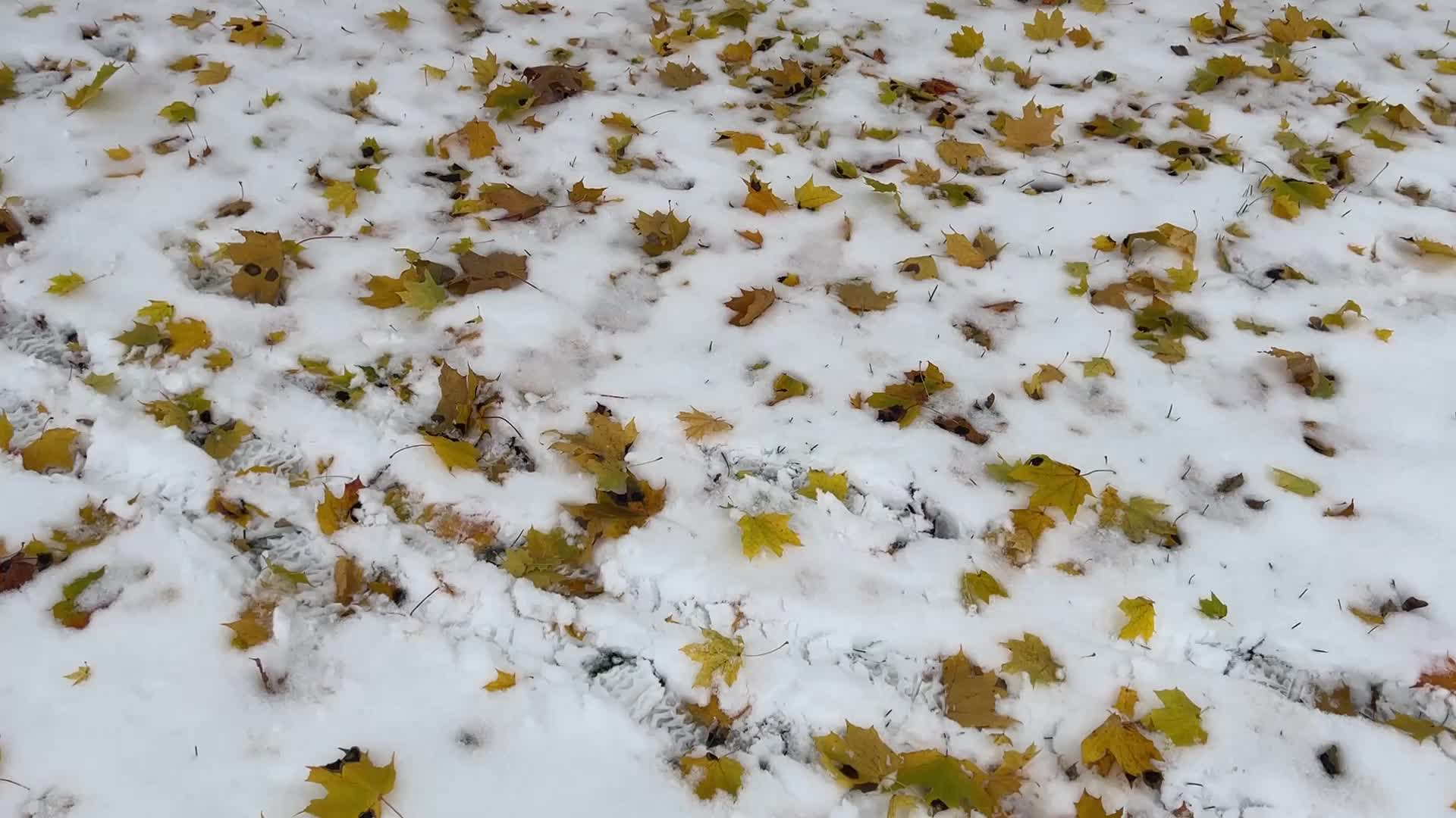 Autumn and Winter season intertwine in Canada