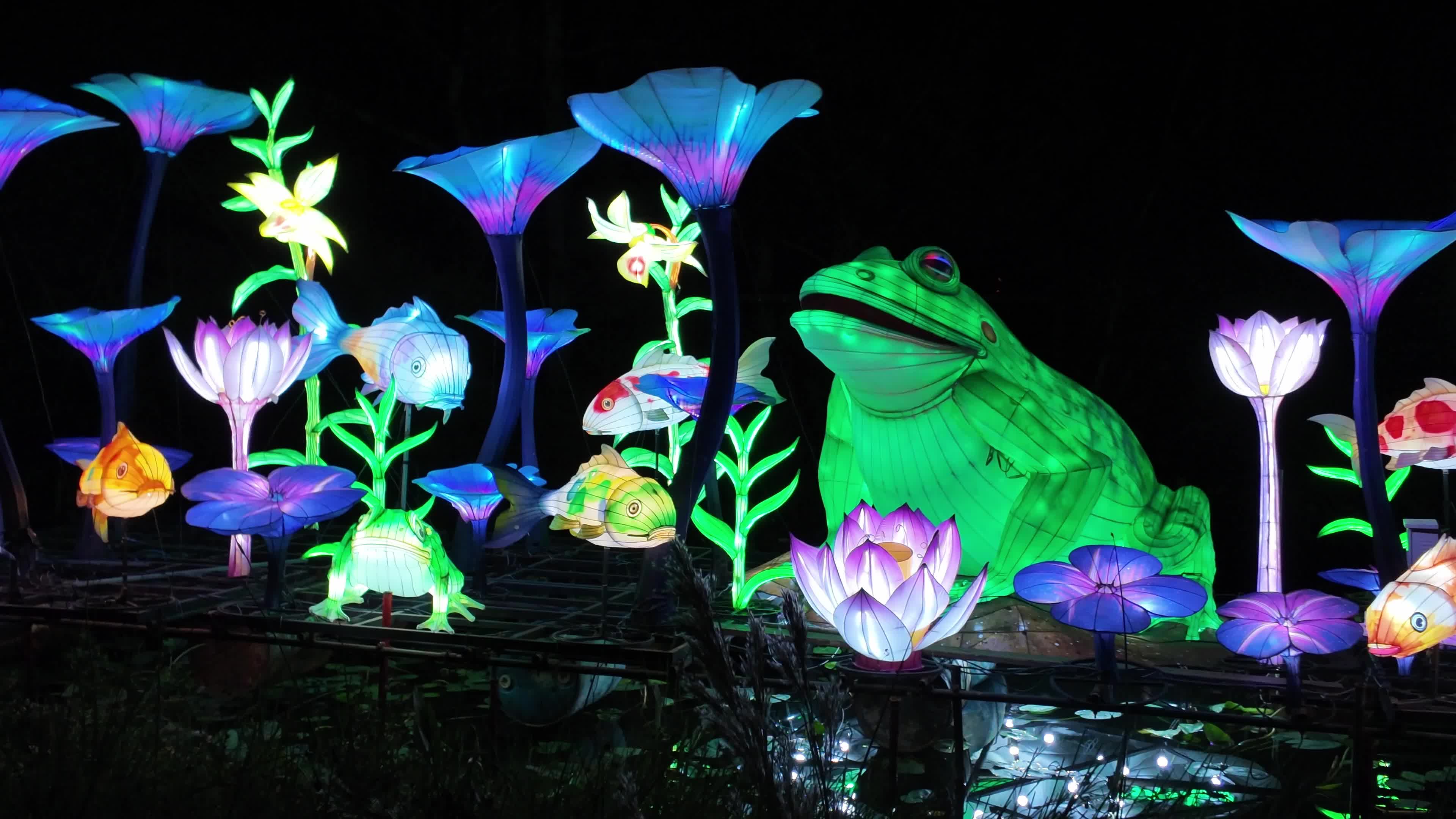Asian Lantern Festival at Central Florida Zoo