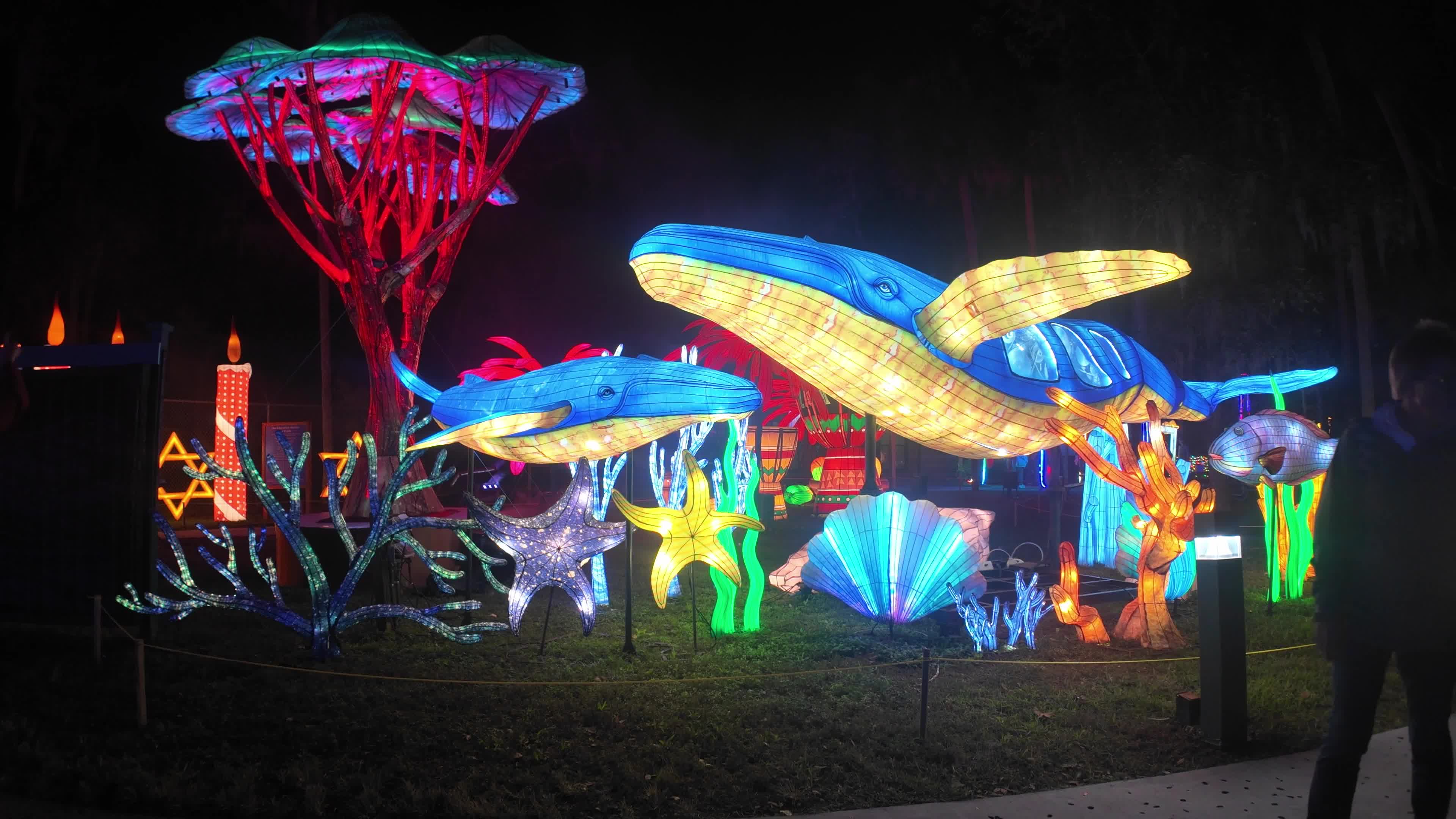 Asian Lantern Festival at Central Florida Zoo
