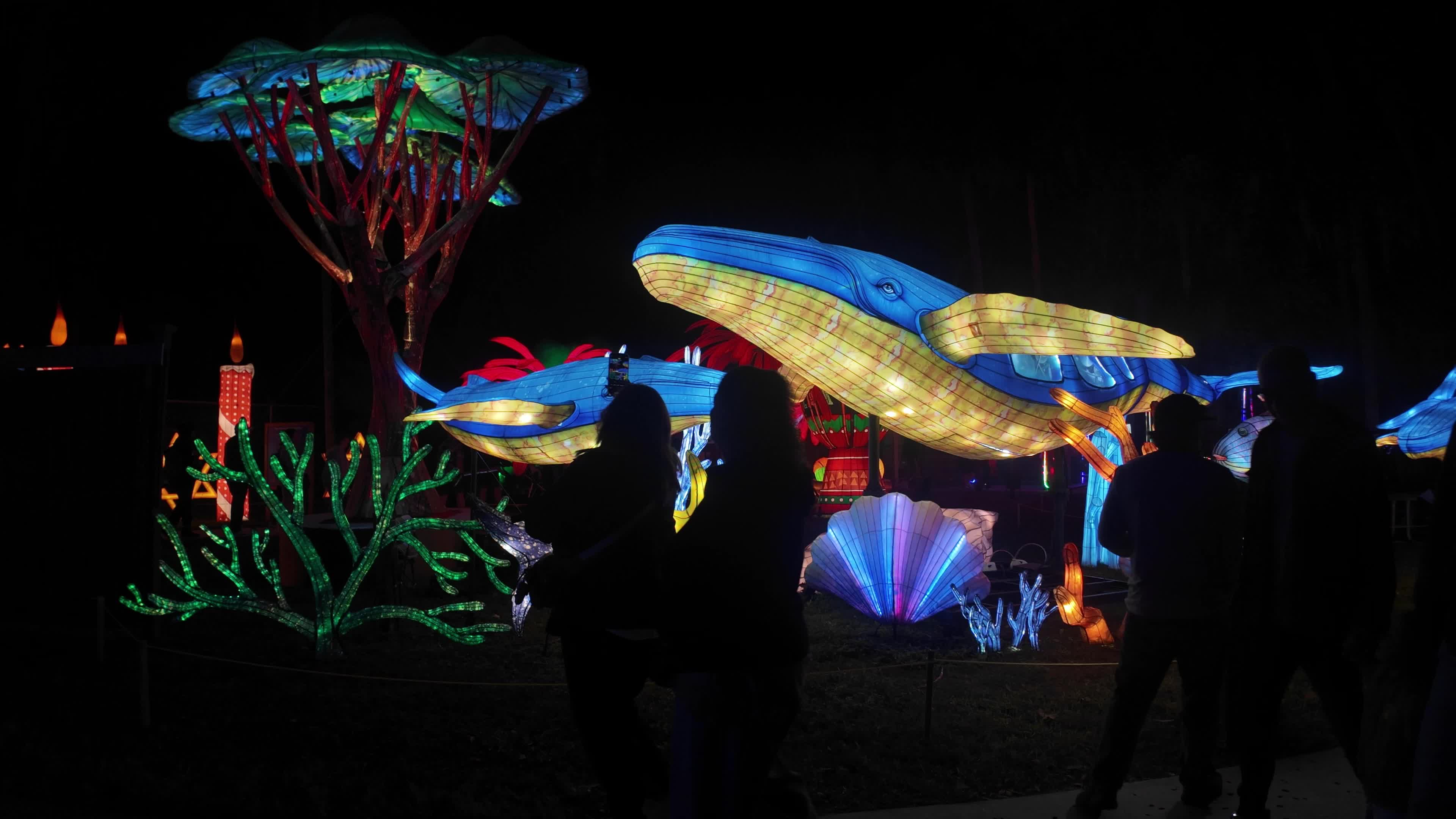 Asian Lantern Festival at Central Florida Zoo