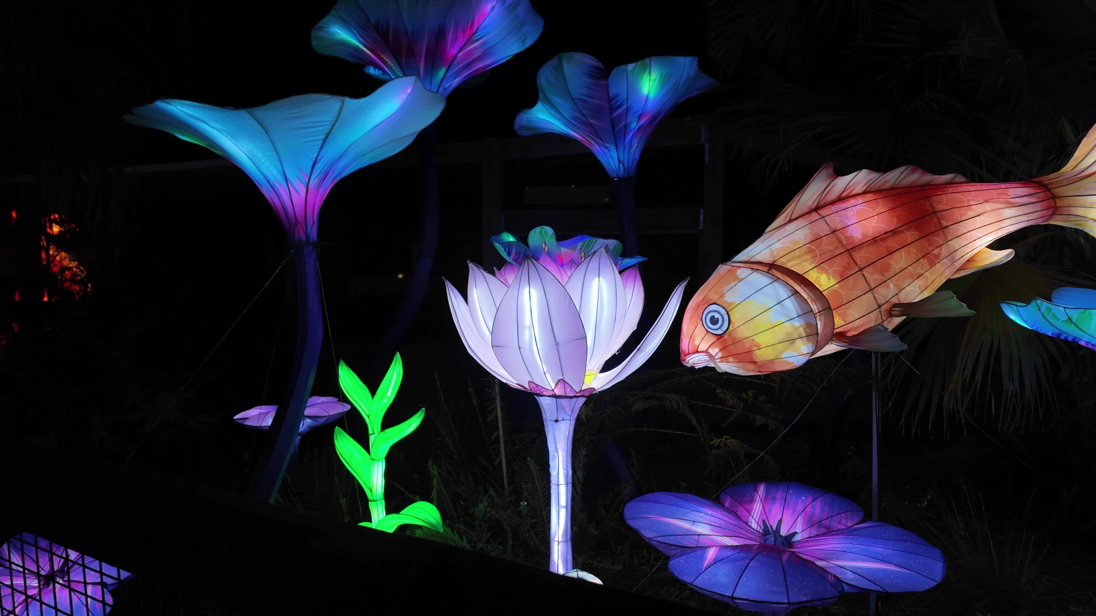 Asian Lantern Festival at Central Florida Zoo