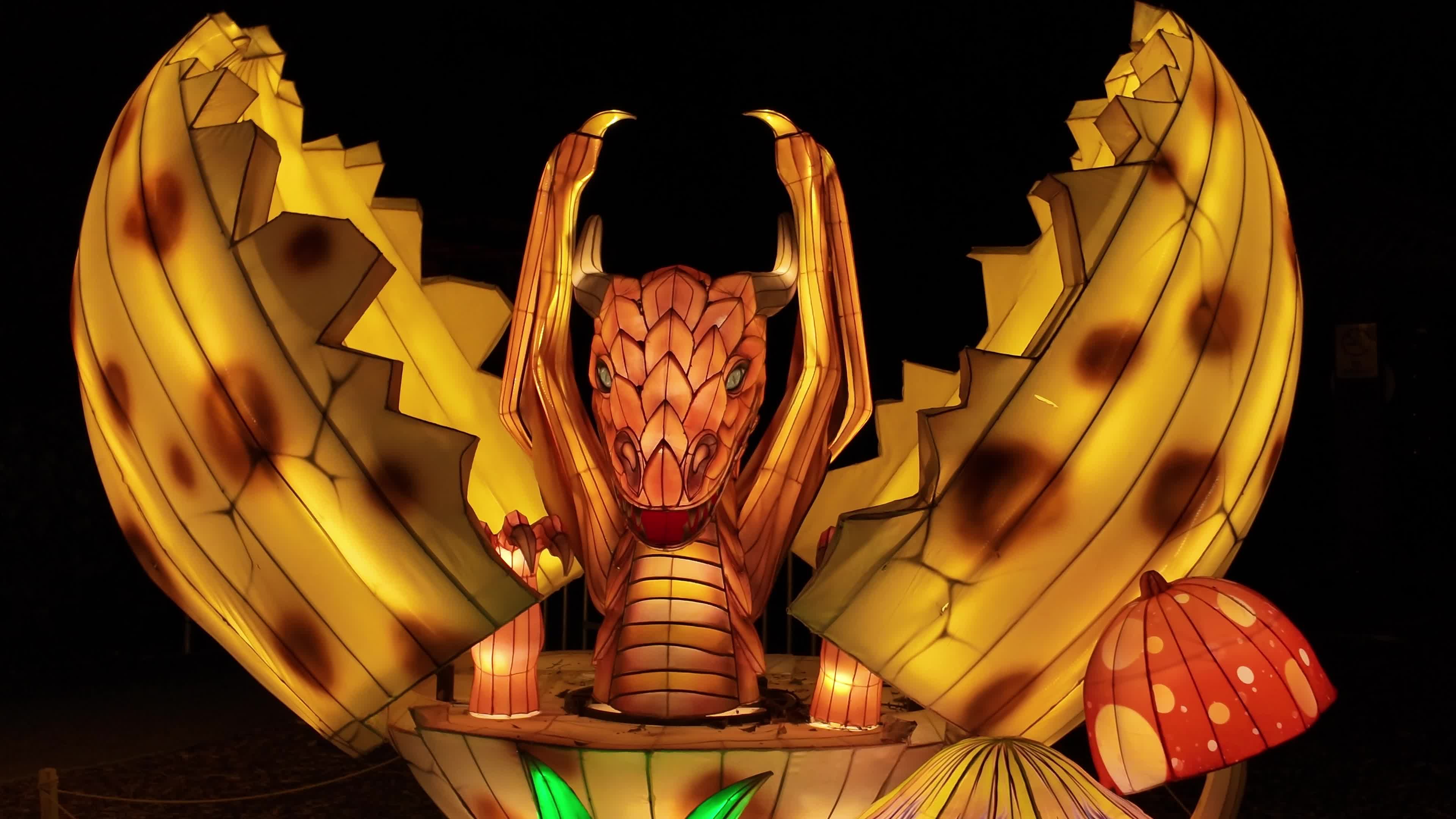 Asian Lantern Festival at Central Florida Zoo